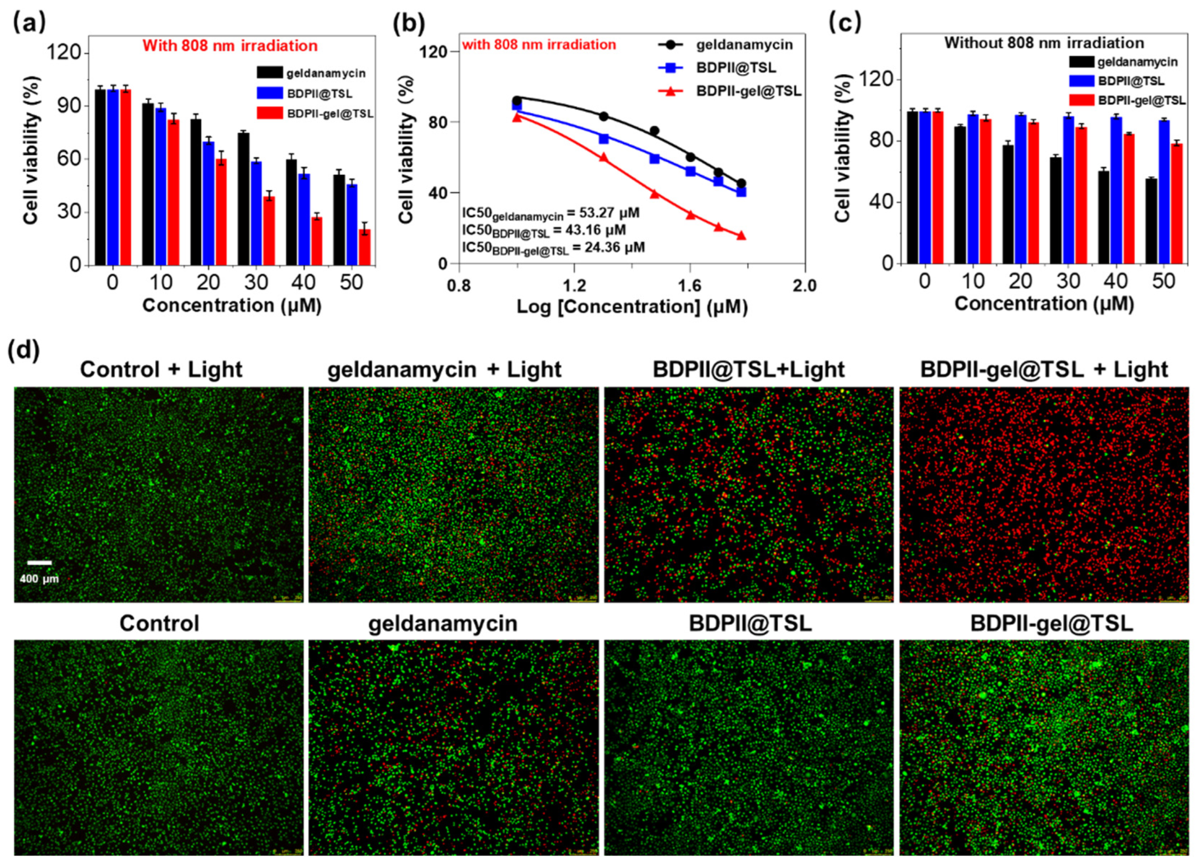 Pharmaceutics 15 02252 g004
