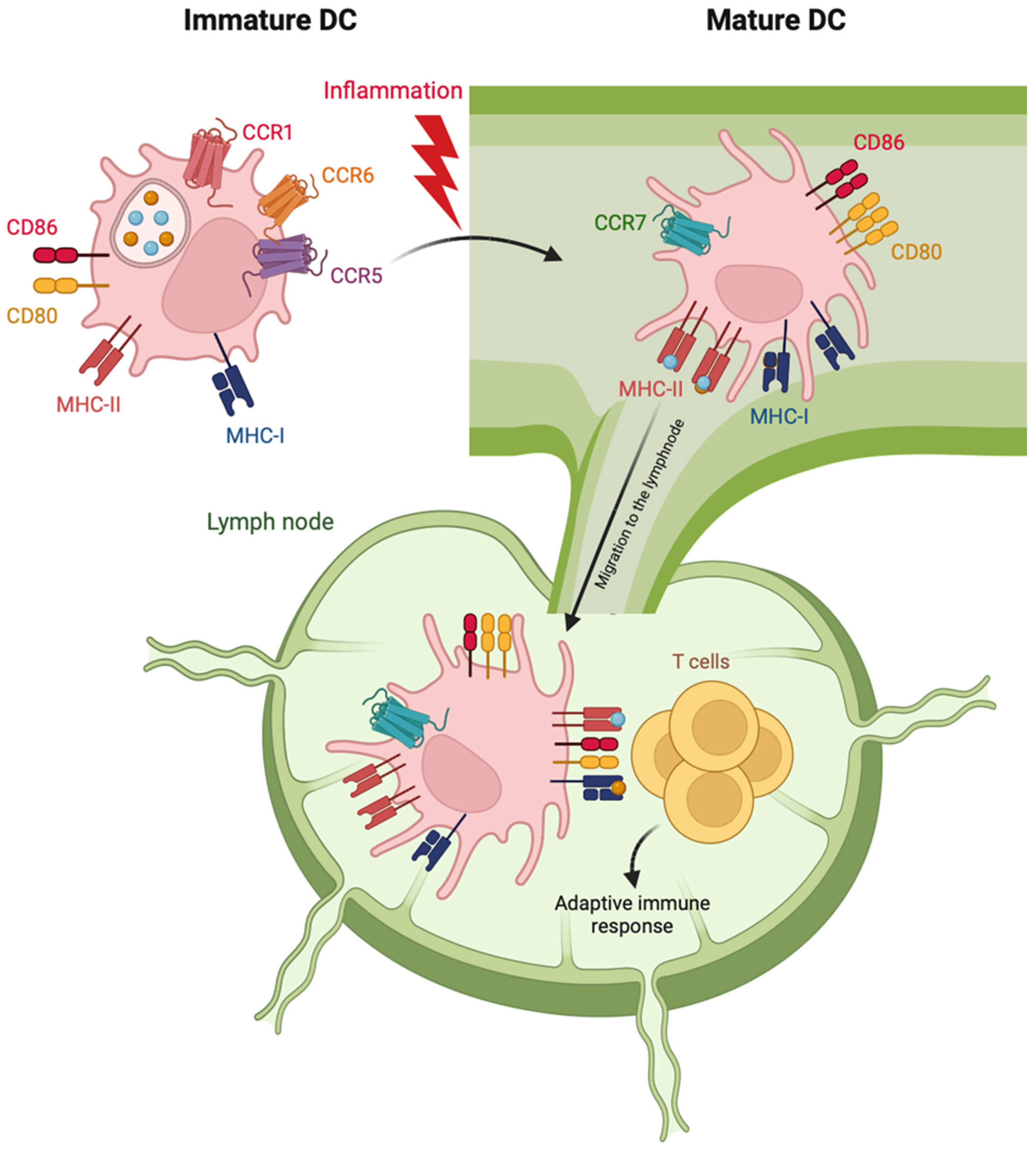 Pharmaceutics 15 02254 g001