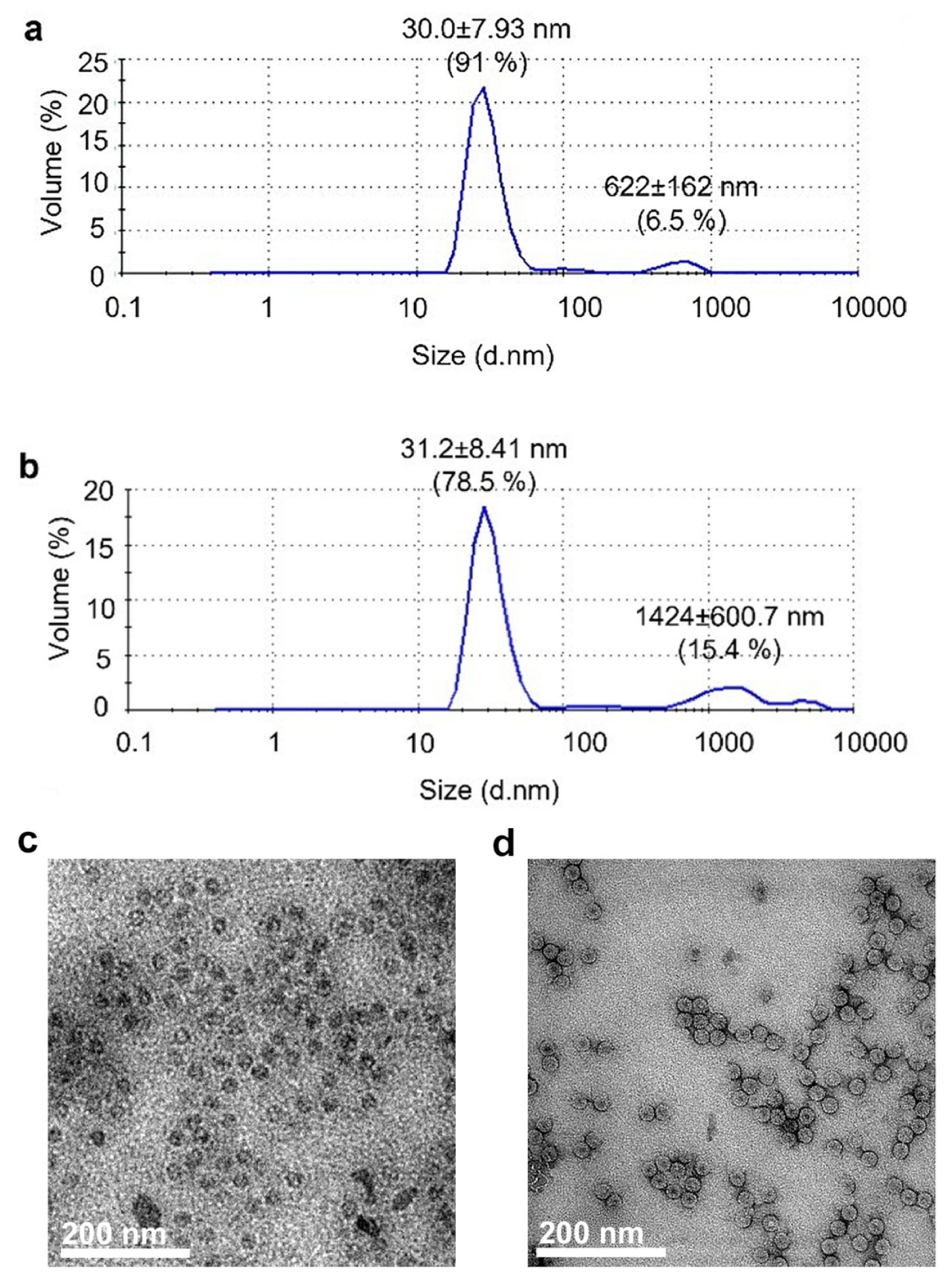 Pharmaceutics 15 02260 g001 Pharmaceutics 15 02260 g001