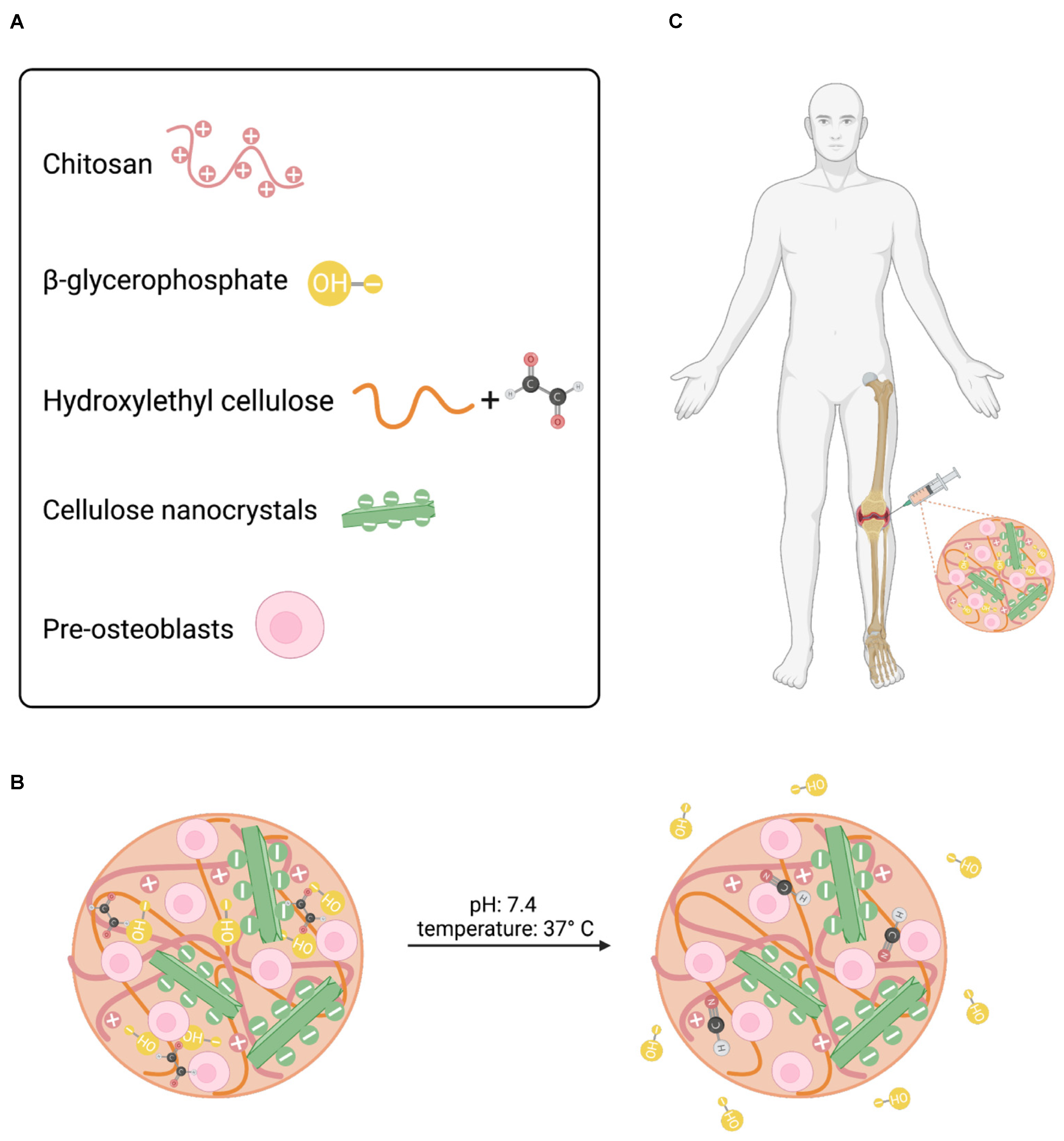 Pharmaceutics 15 02270 g001