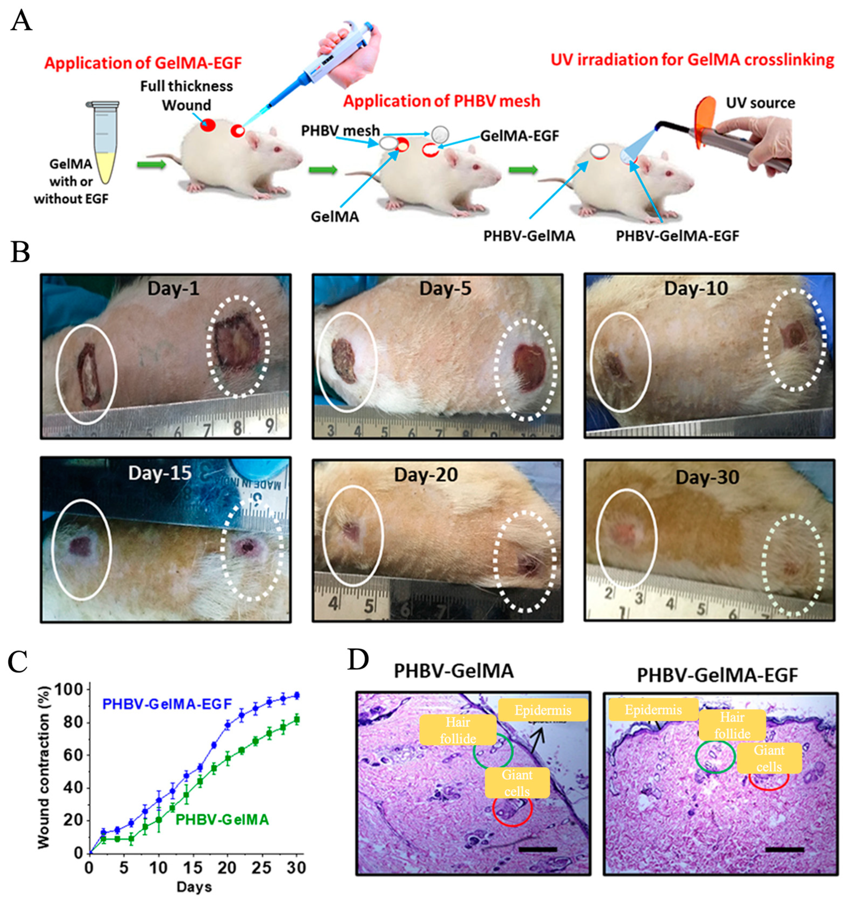 Pharmaceutics 15 02285 g005