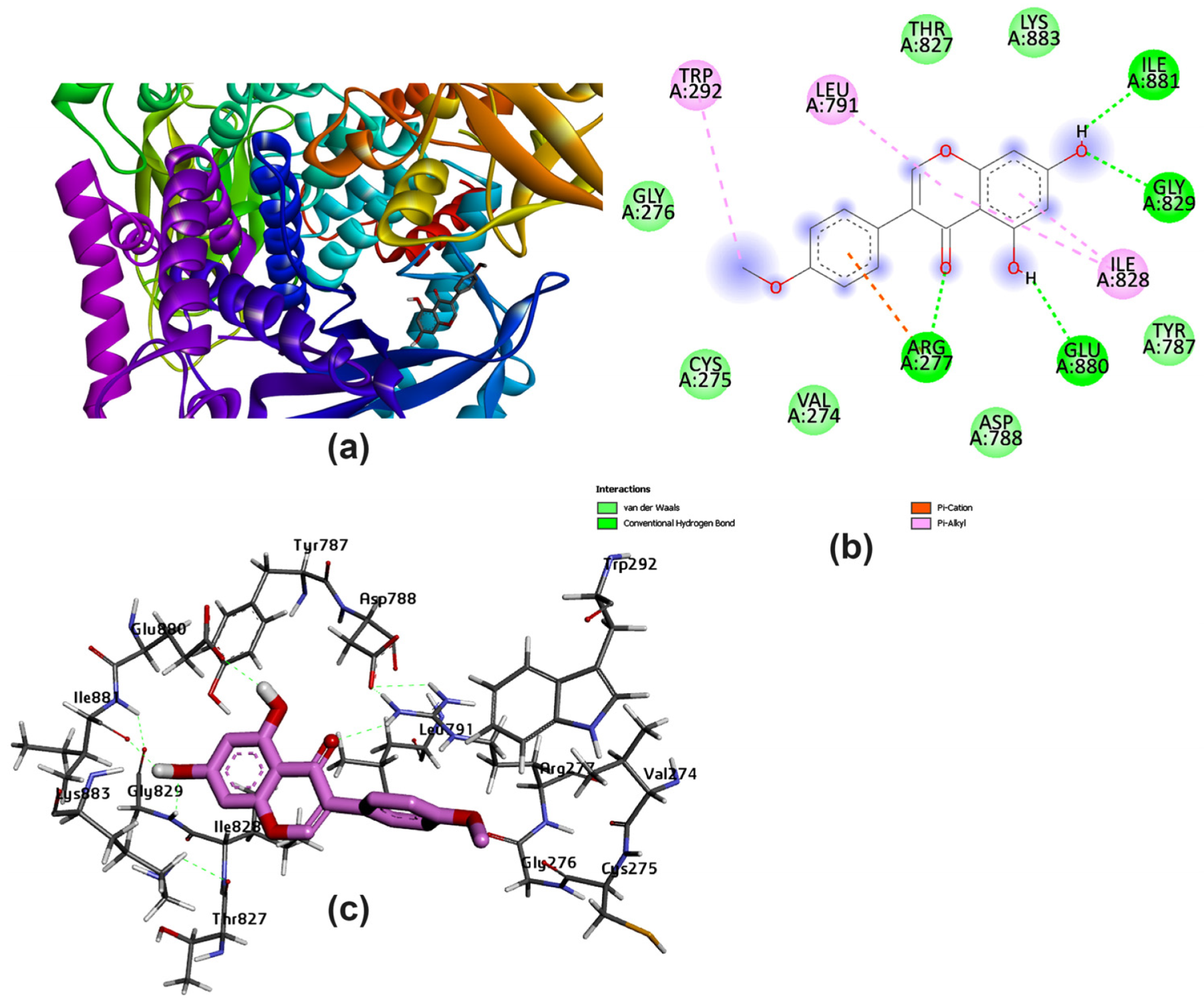 Pharmaceutics | Free Full-Text | The Synergistic Influence of