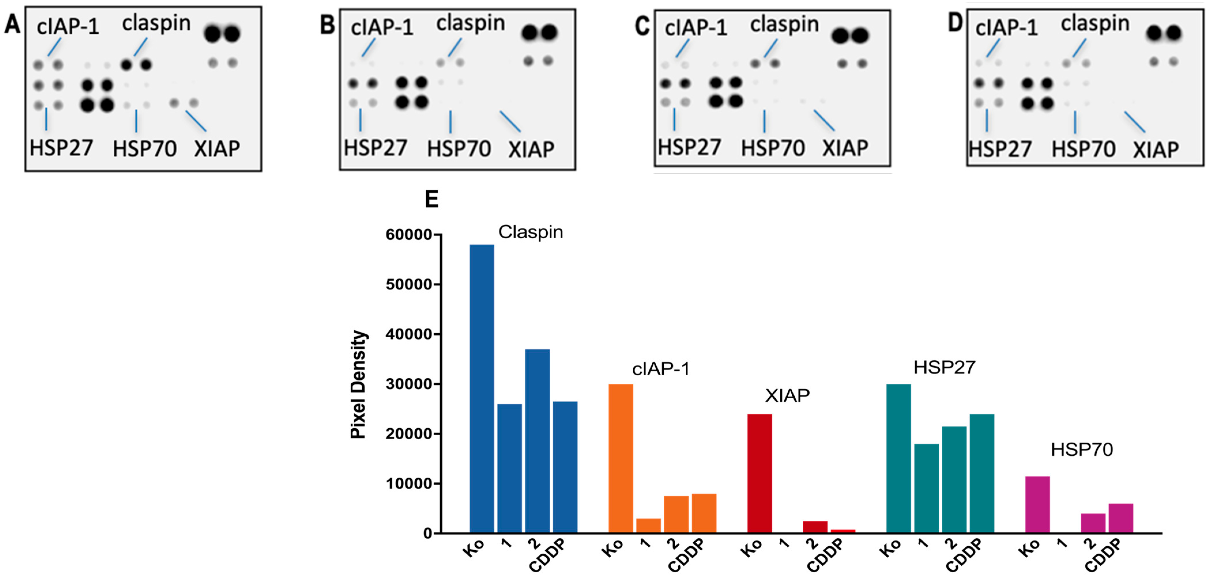 Pharmaceutics 15 02310 g005 Pharmaceutics 15 02310 g005