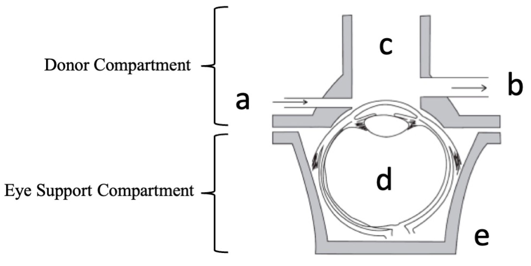 Pharmaceutics 15 02325 g001