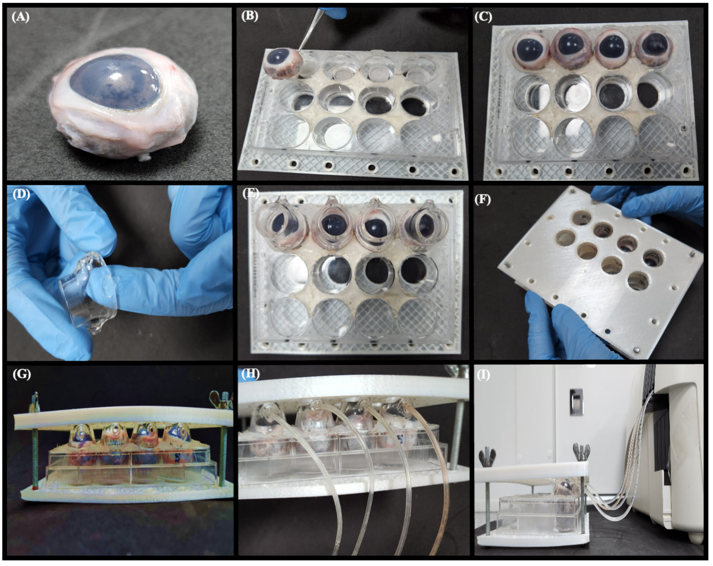 Pharmaceutics 15 02325 g005