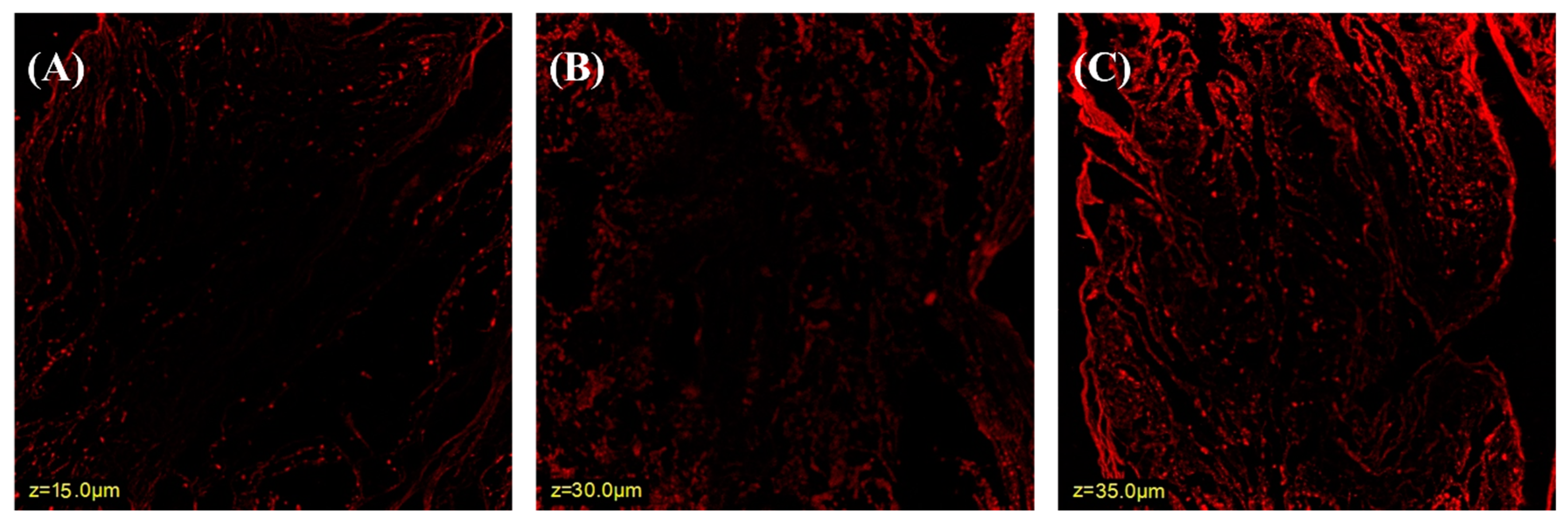Pharmaceutics 15 02339 g001