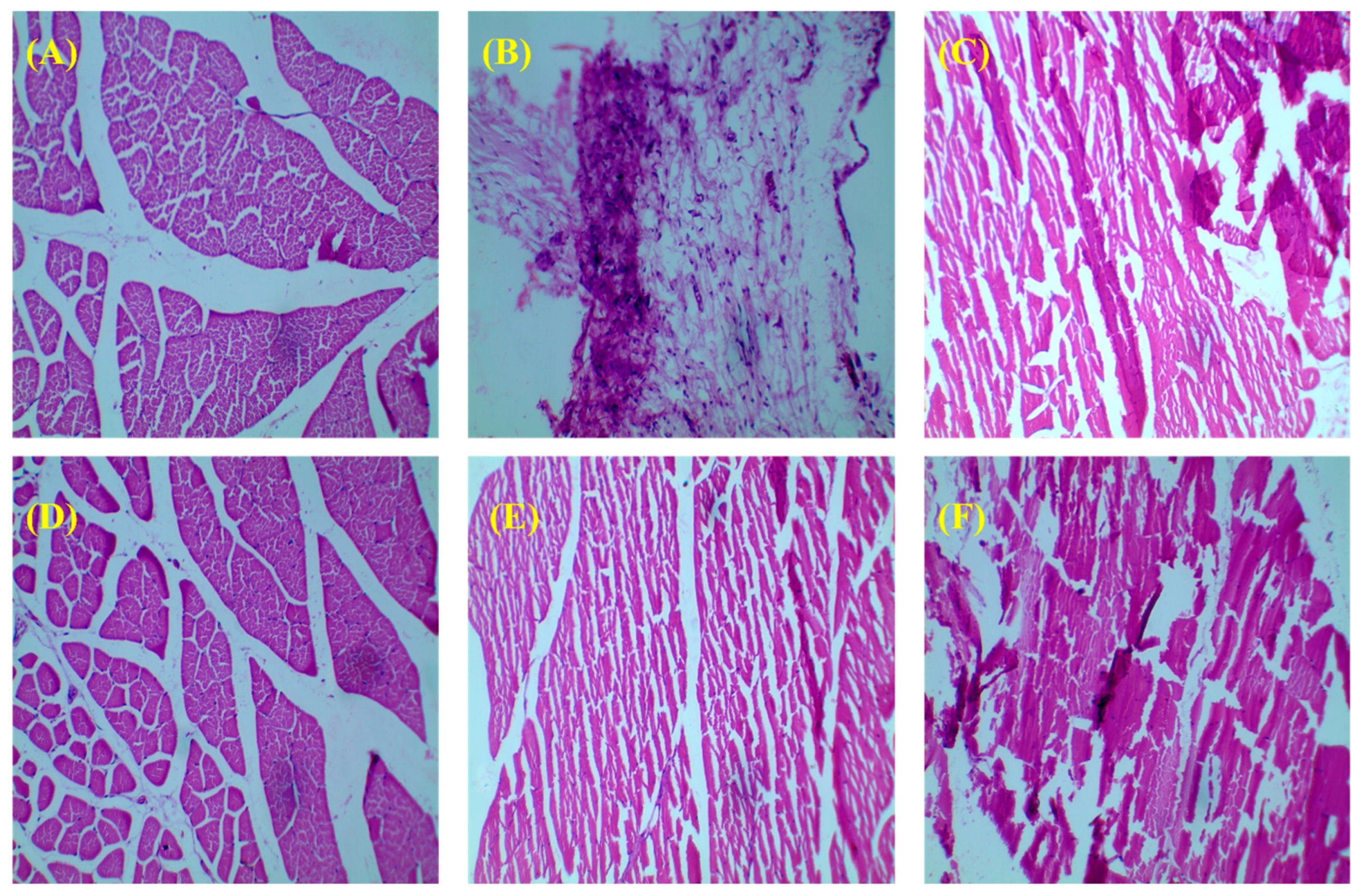 Pharmaceutics 15 02339 g005