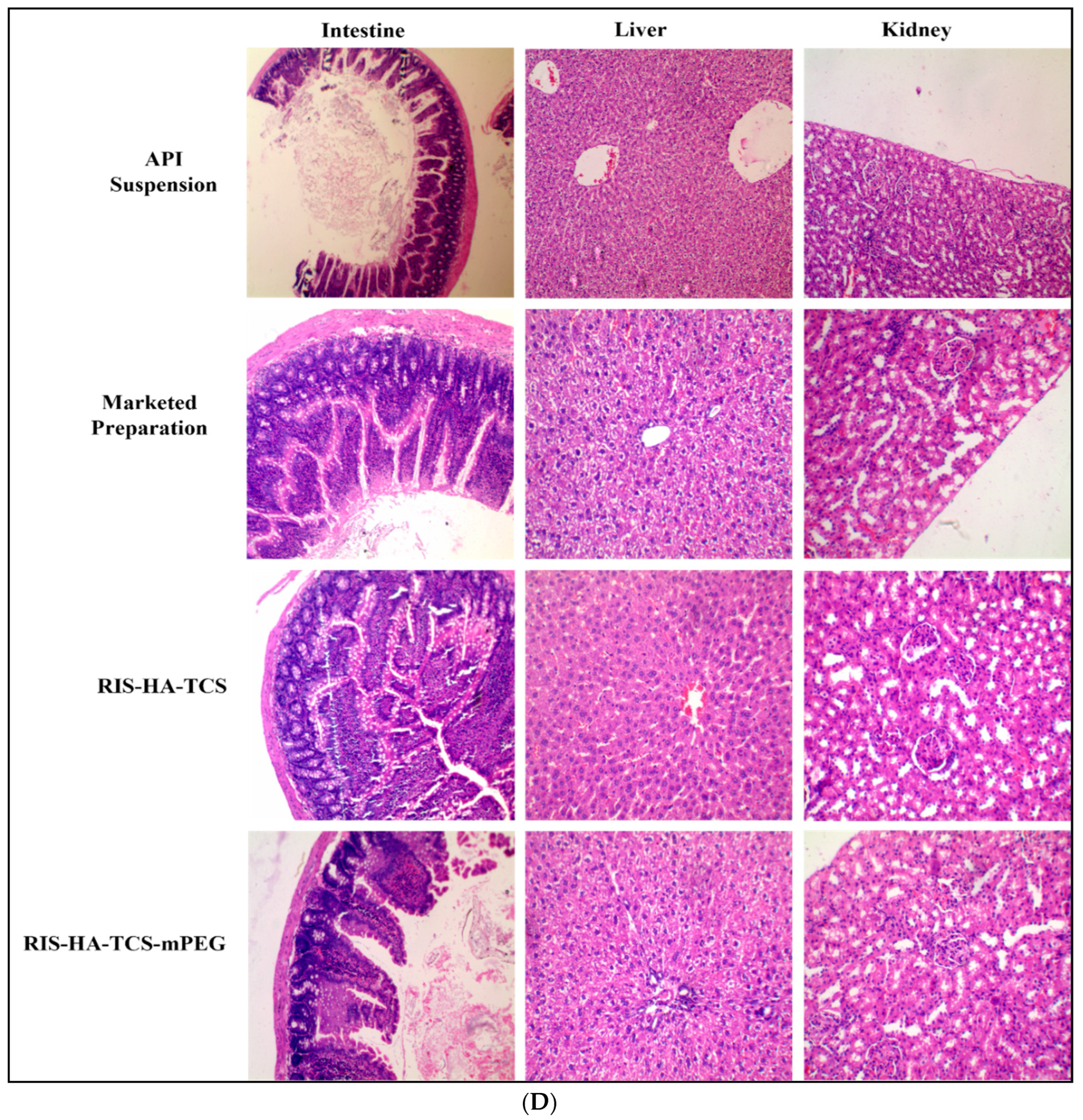 Pharmaceutics 15 02339 g006c