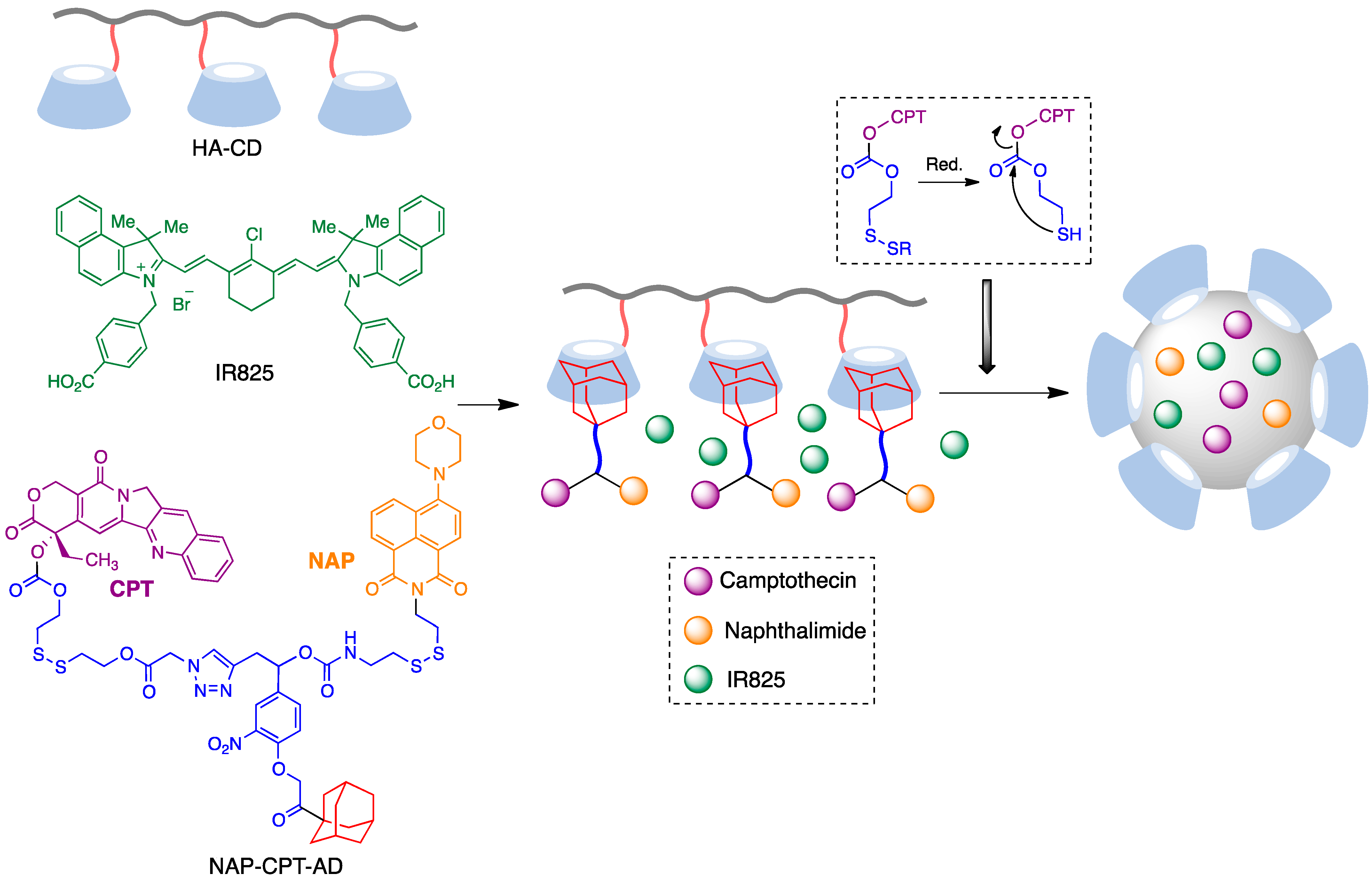 Pharmaceutics | Free Full-Text | Cyclodextrin Inclusion Complexes For ...