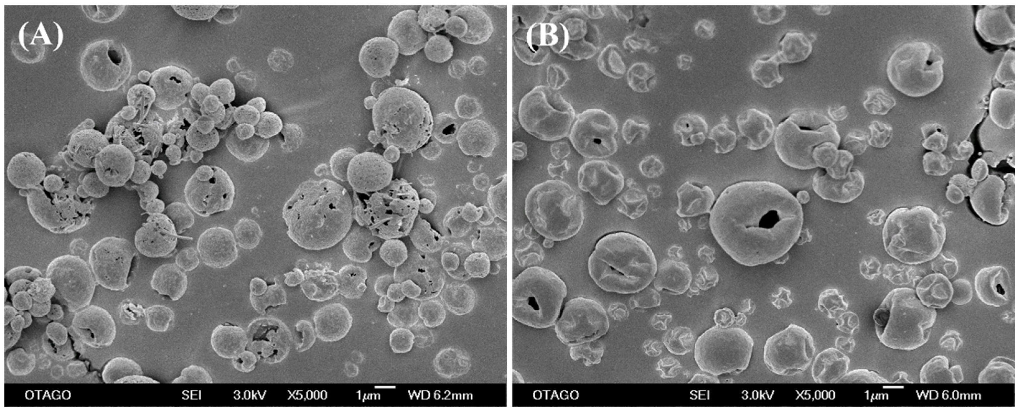 Pharmaceutics 15 02354 g011