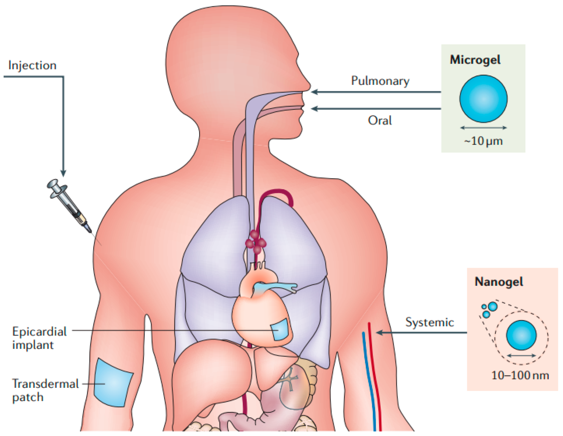 Pharmaceutics 15 02370 g017 Pharmaceutics 15 02370 g017