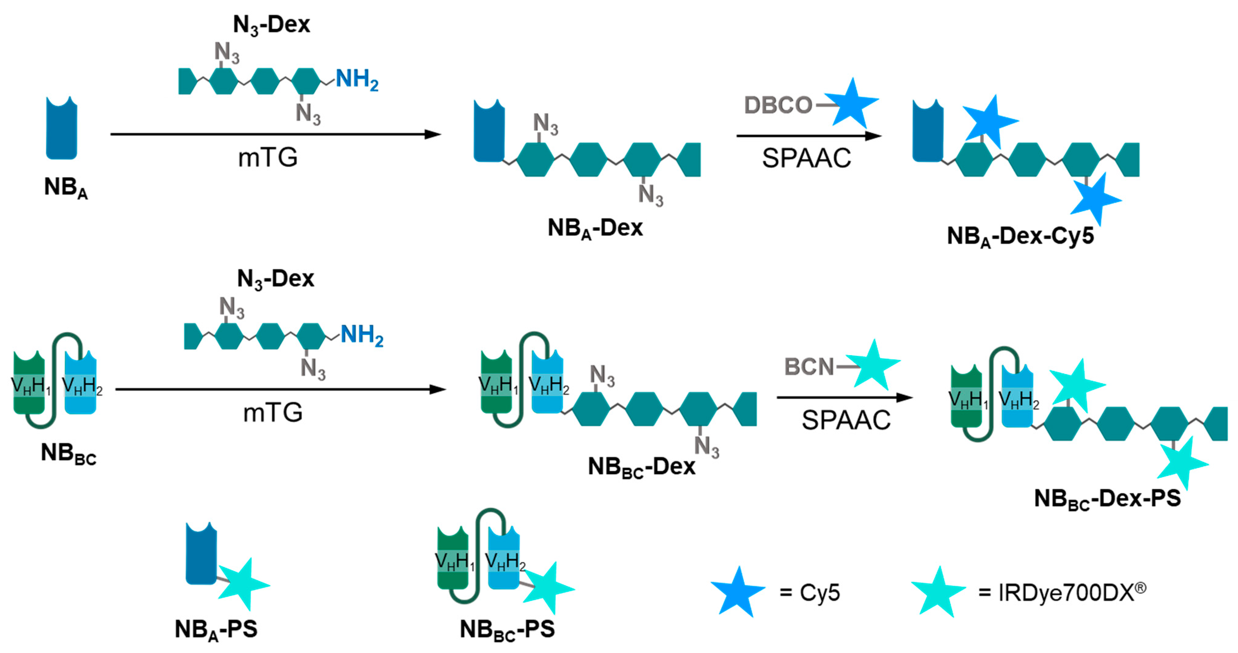 Pharmaceutics 15 02374 g001