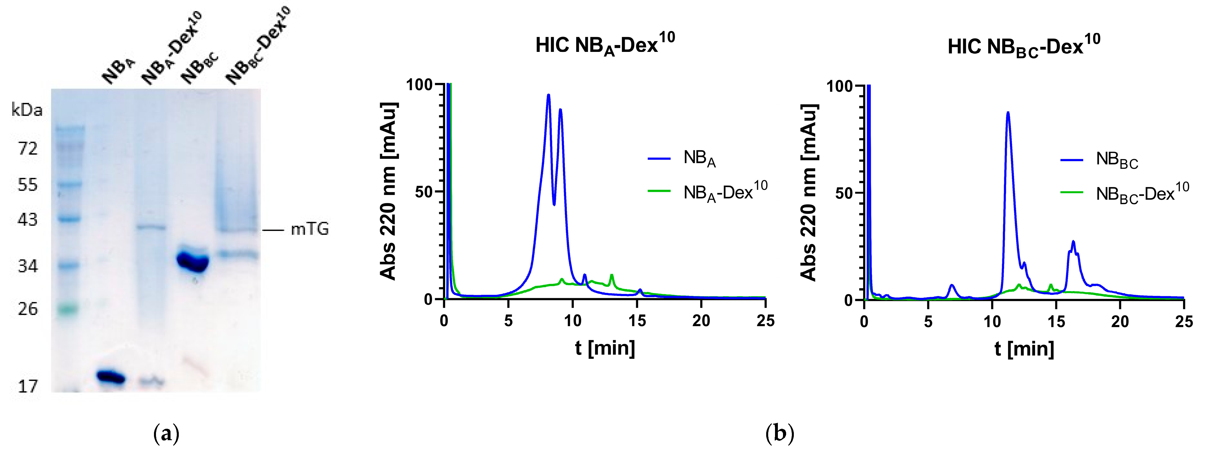 Pharmaceutics 15 02374 g003