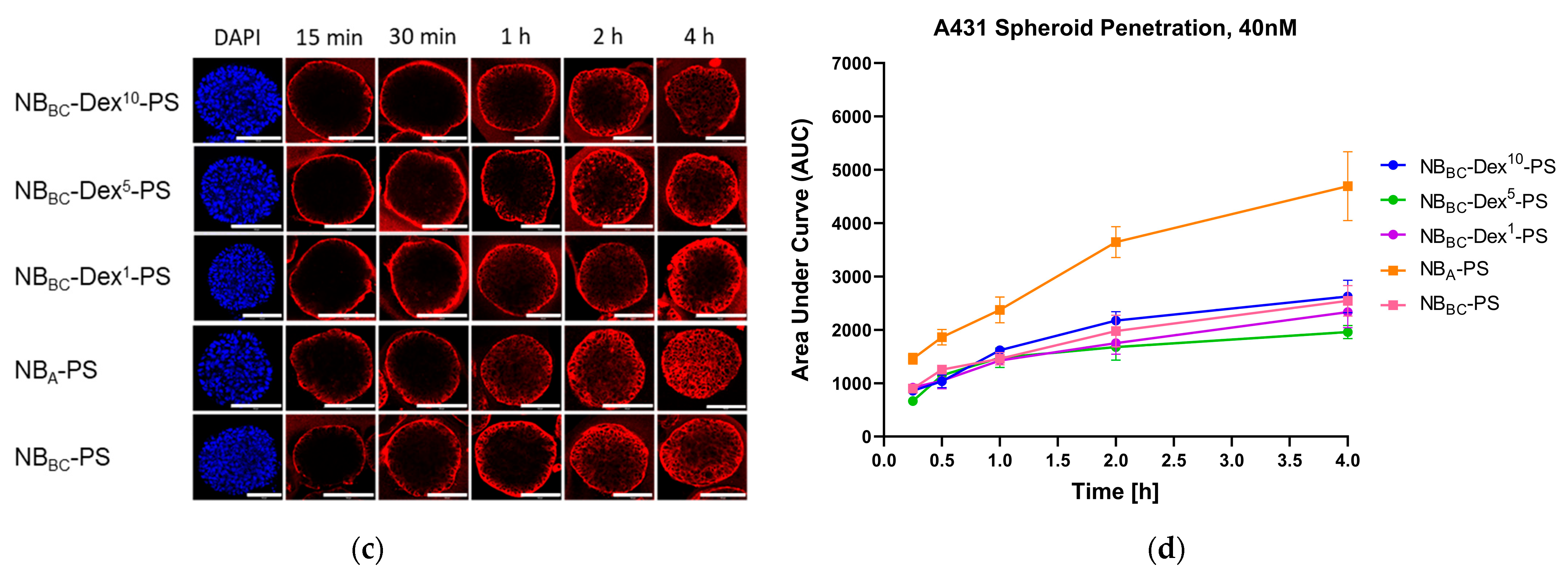 Pharmaceutics 15 02374 g005b