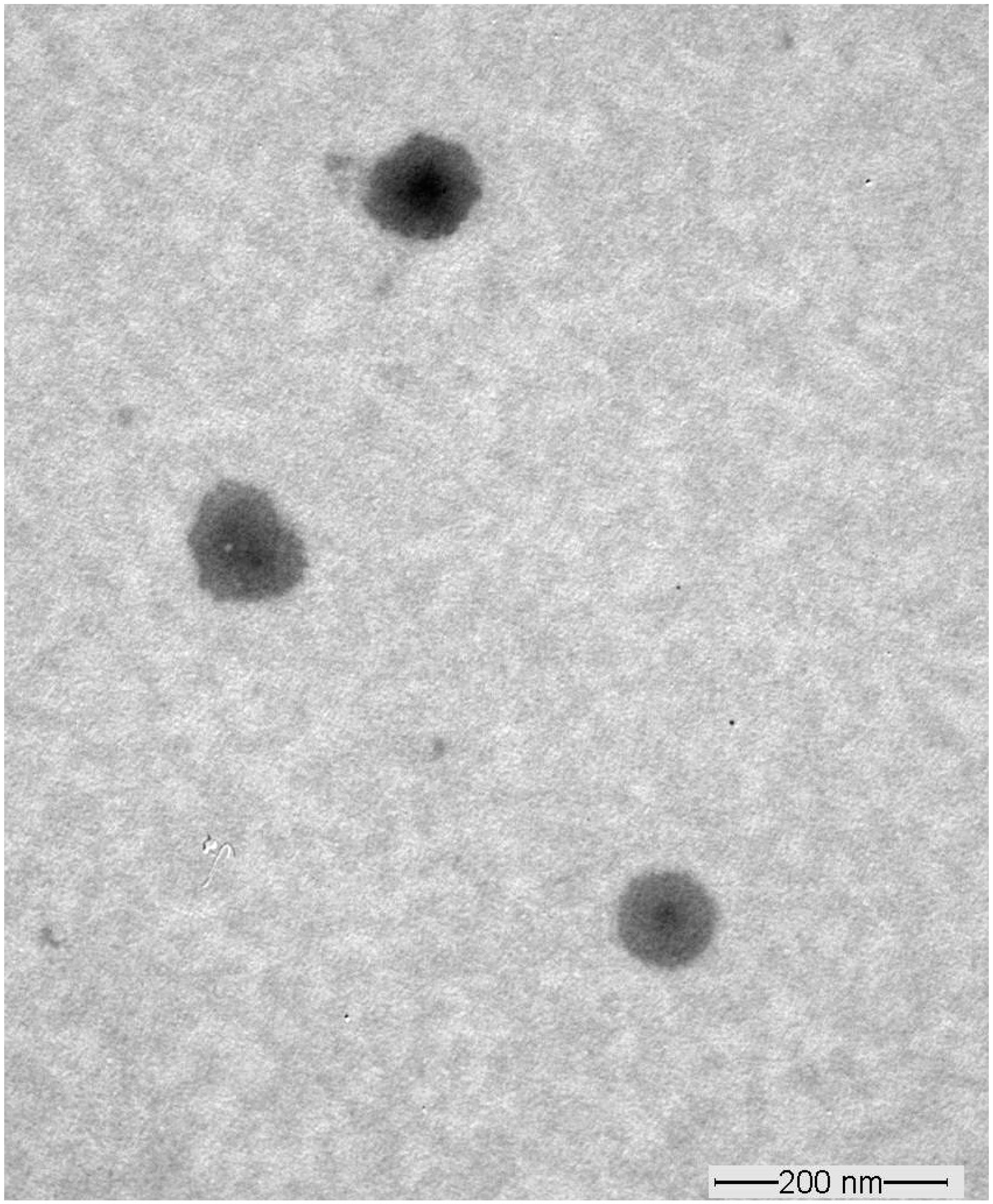 Pharmaceutics 15 02391 g003
