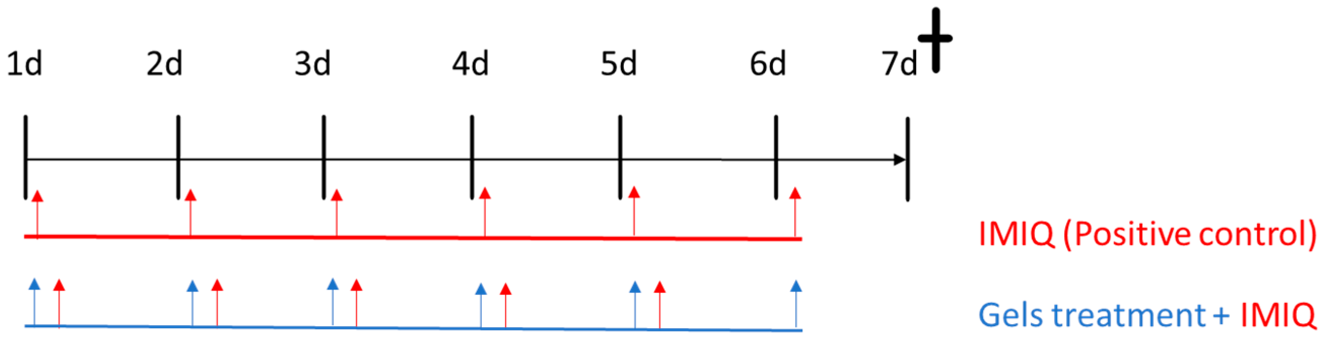 Pharmaceutics Free Full Text Efficacy of Apremilast Gels in