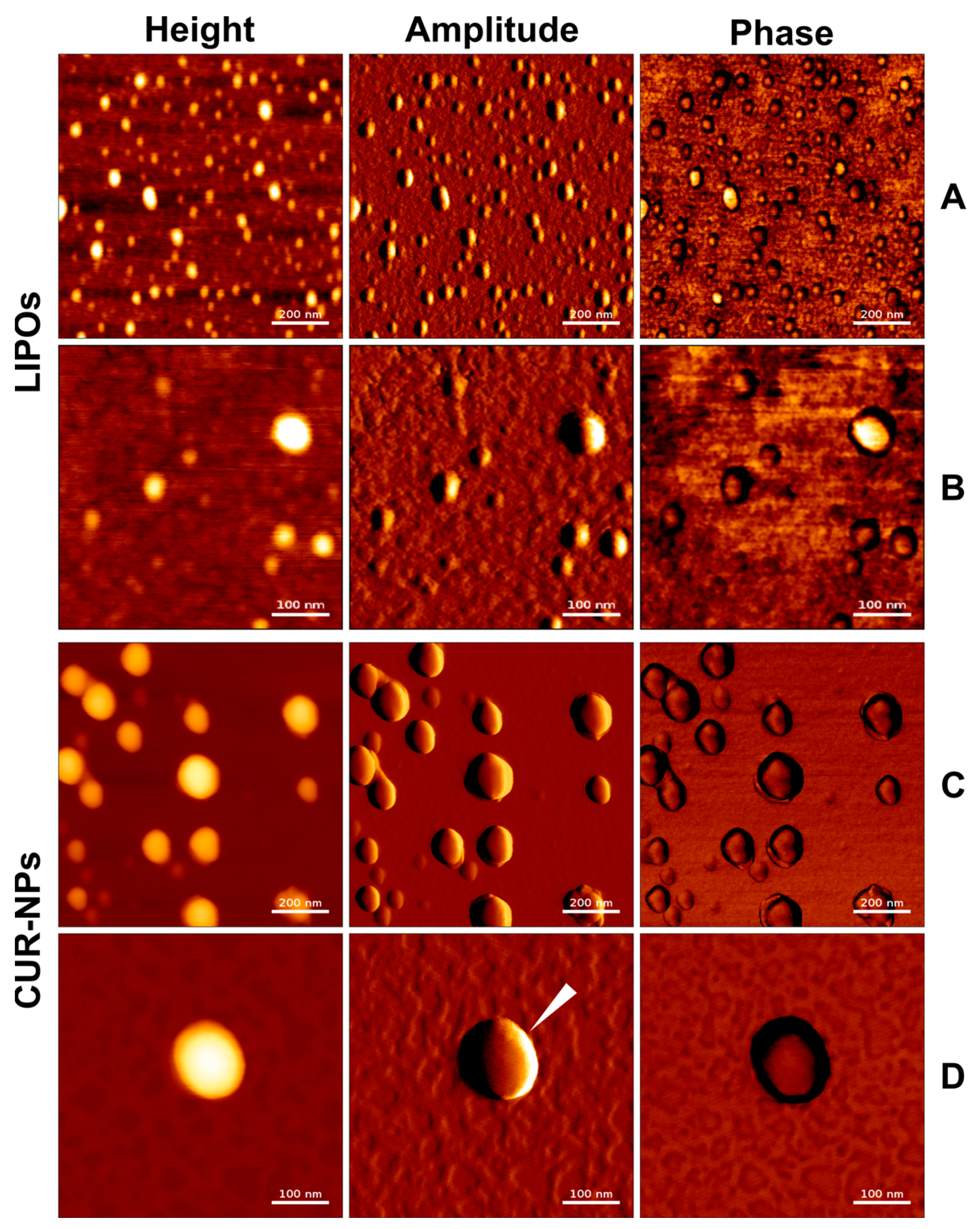 Pharmaceutics 15 02412 g001
