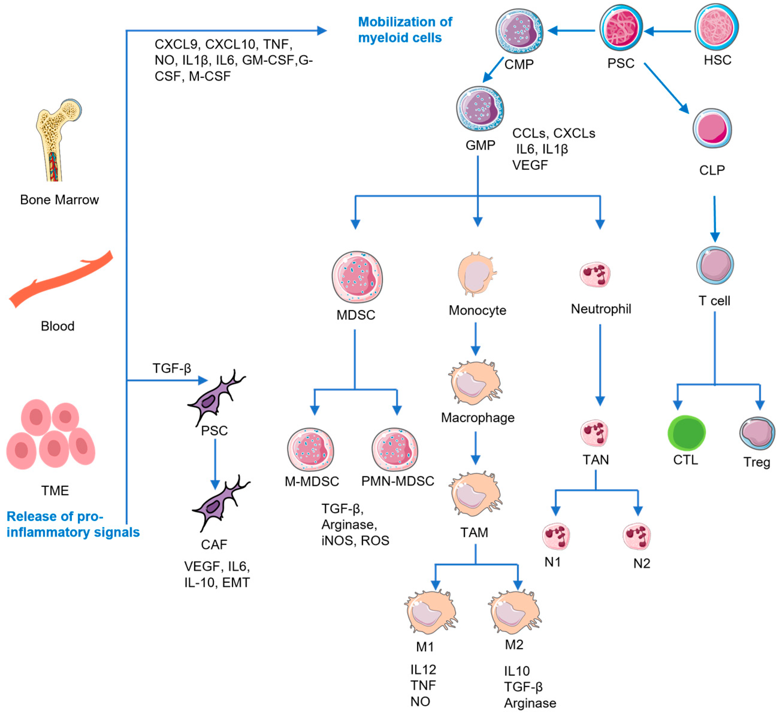 Pharmaceutics 15 02421 g002