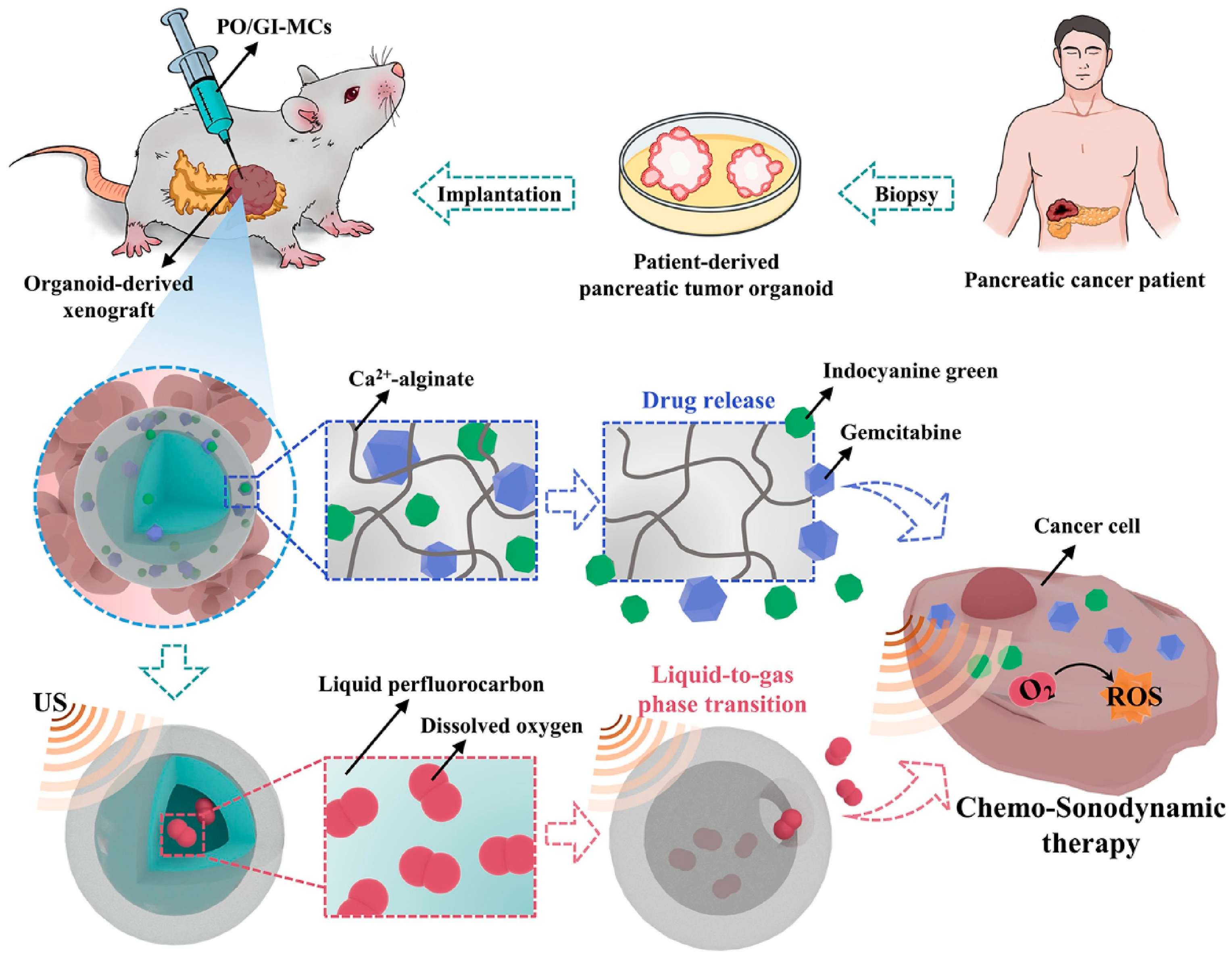 Pharmaceutics 15 02421 g004