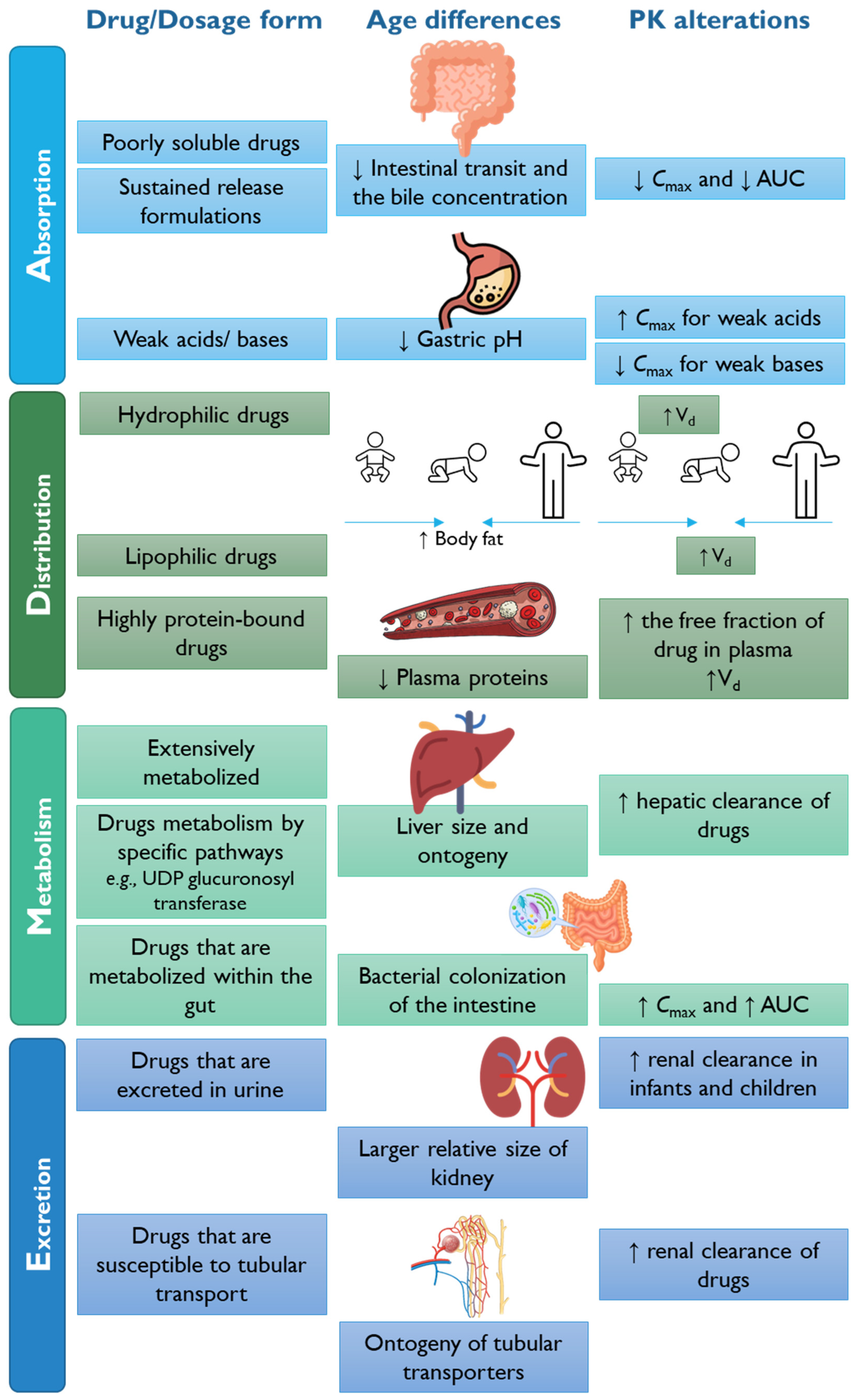 Pharmaceutics 15 02431 g006