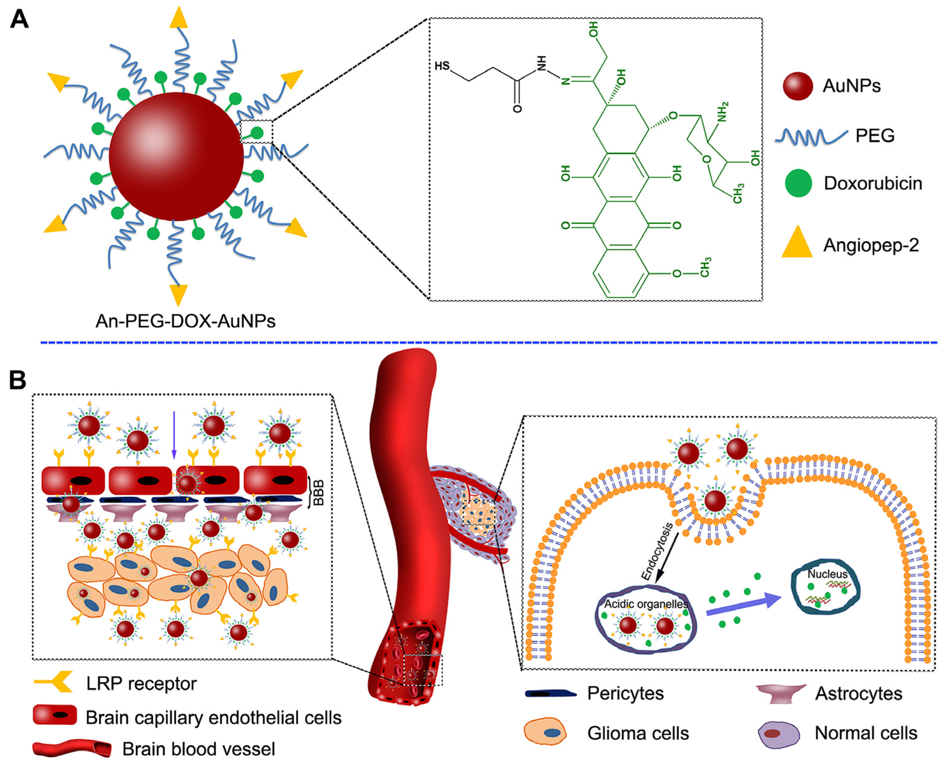 Pharmaceutics 15 02431 g009