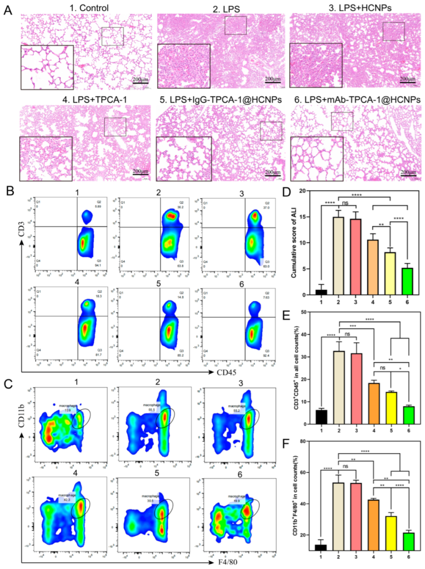 Pharmaceutics 15 02435 g006