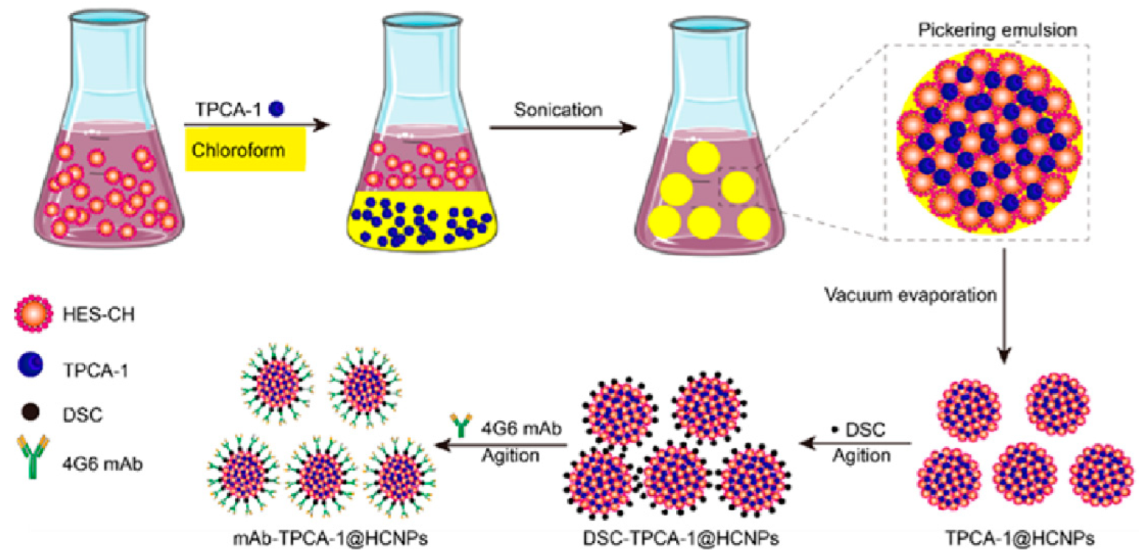Pharmaceutics 15 02435 sch002