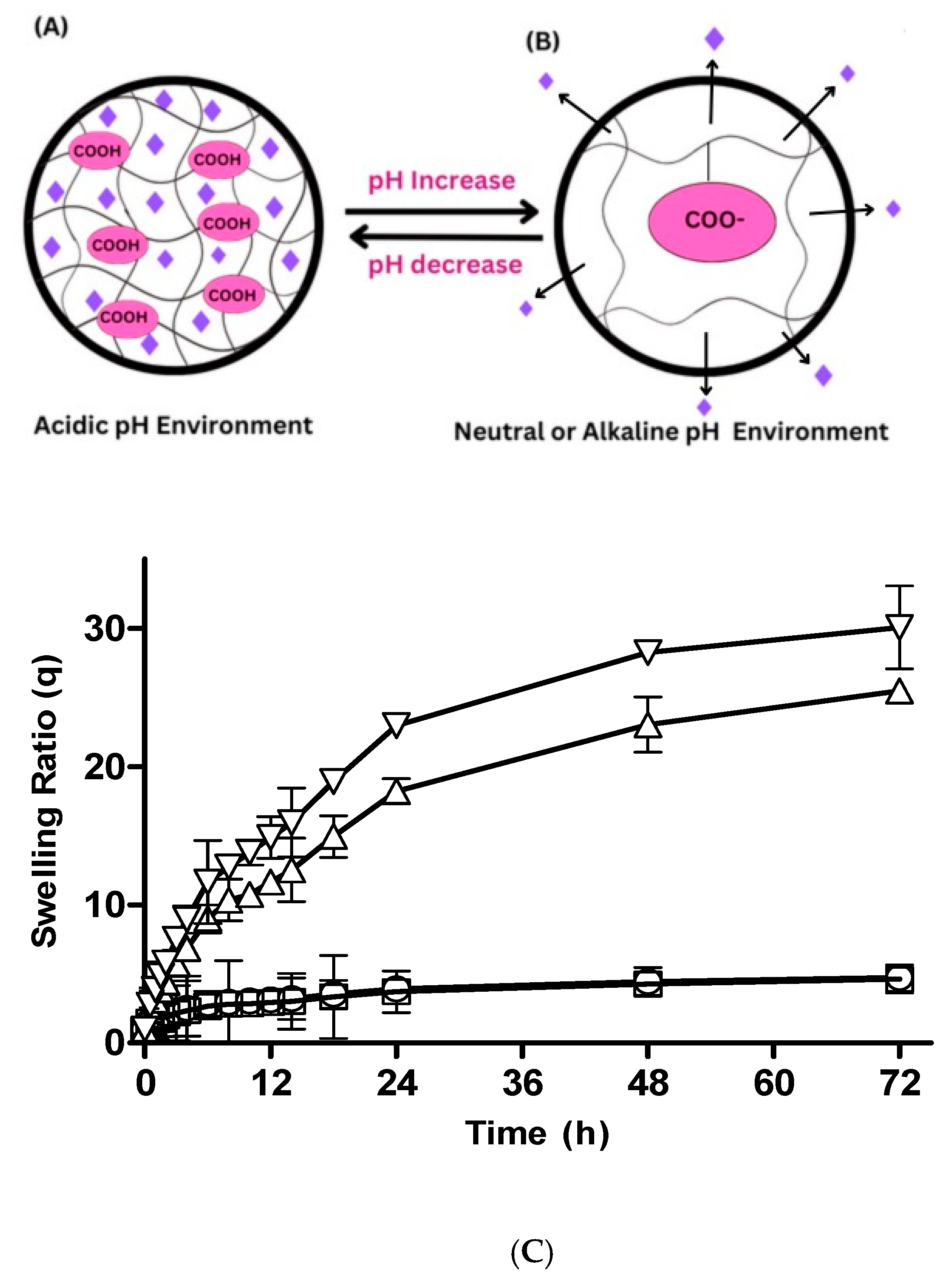 Pharmaceutics 15 02445 g002