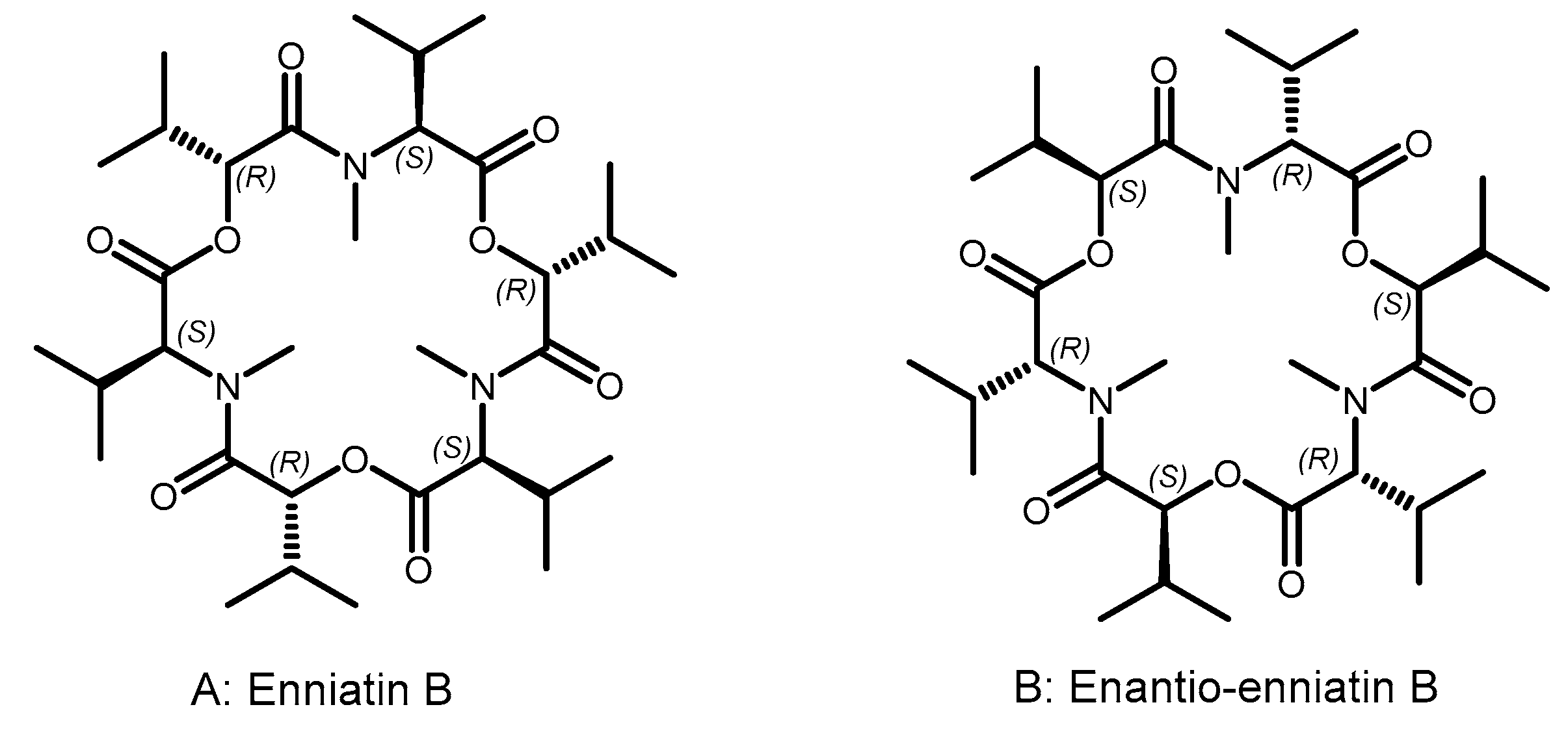 Pharmaceutics 15 02451 g002