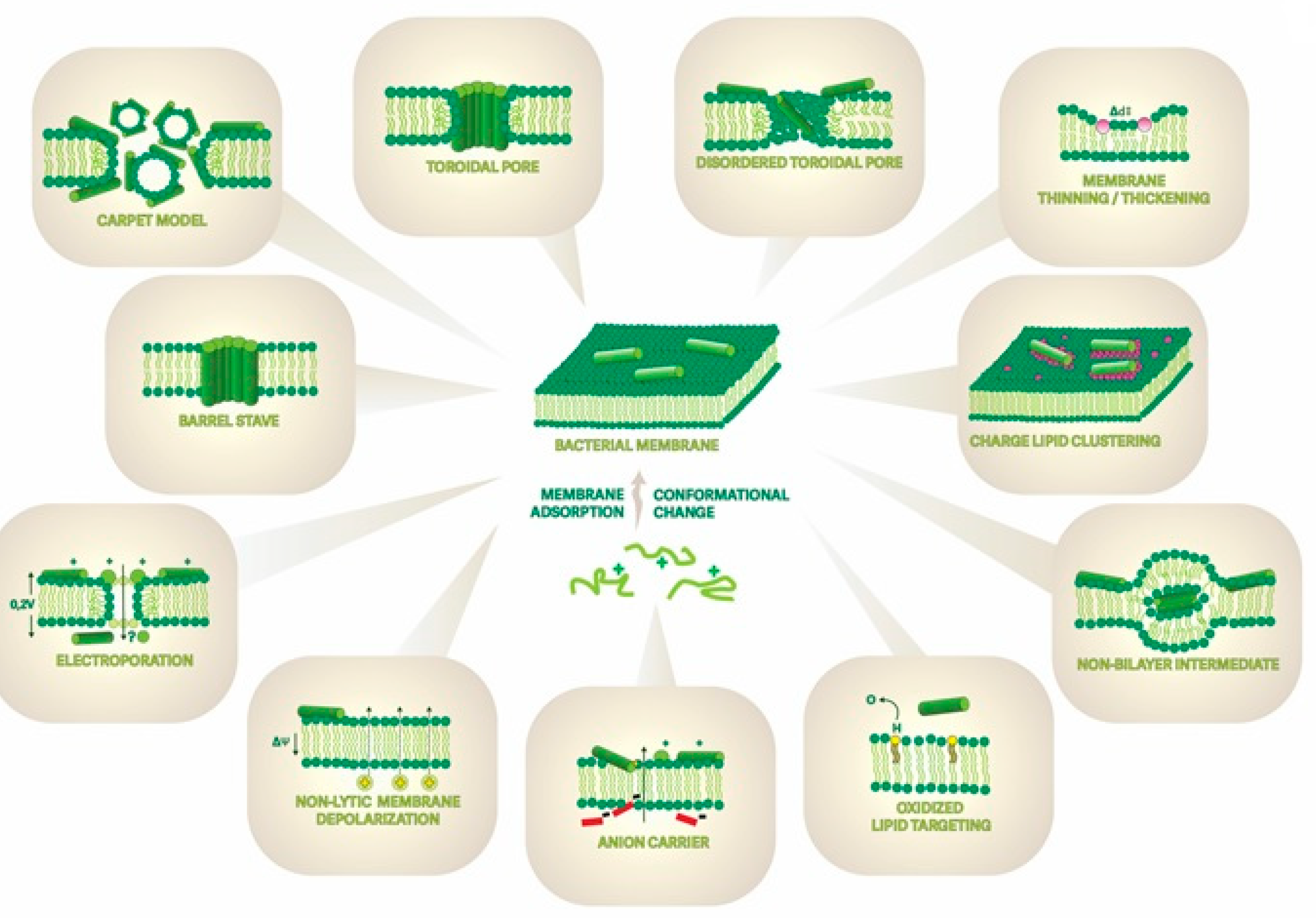 Pharmaceutics 15 02451 g003