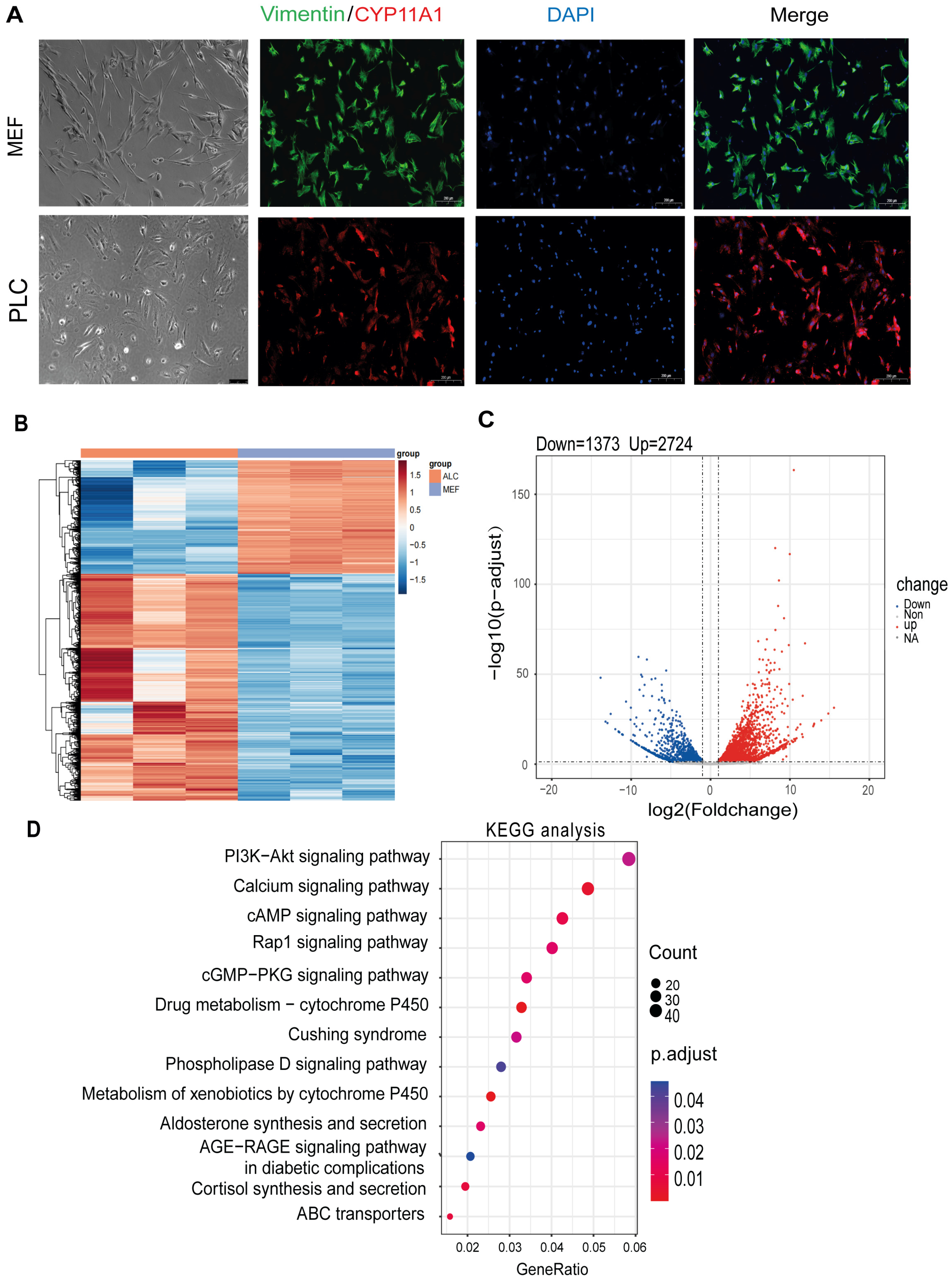 Pharmaceutics 15 02456 g001
