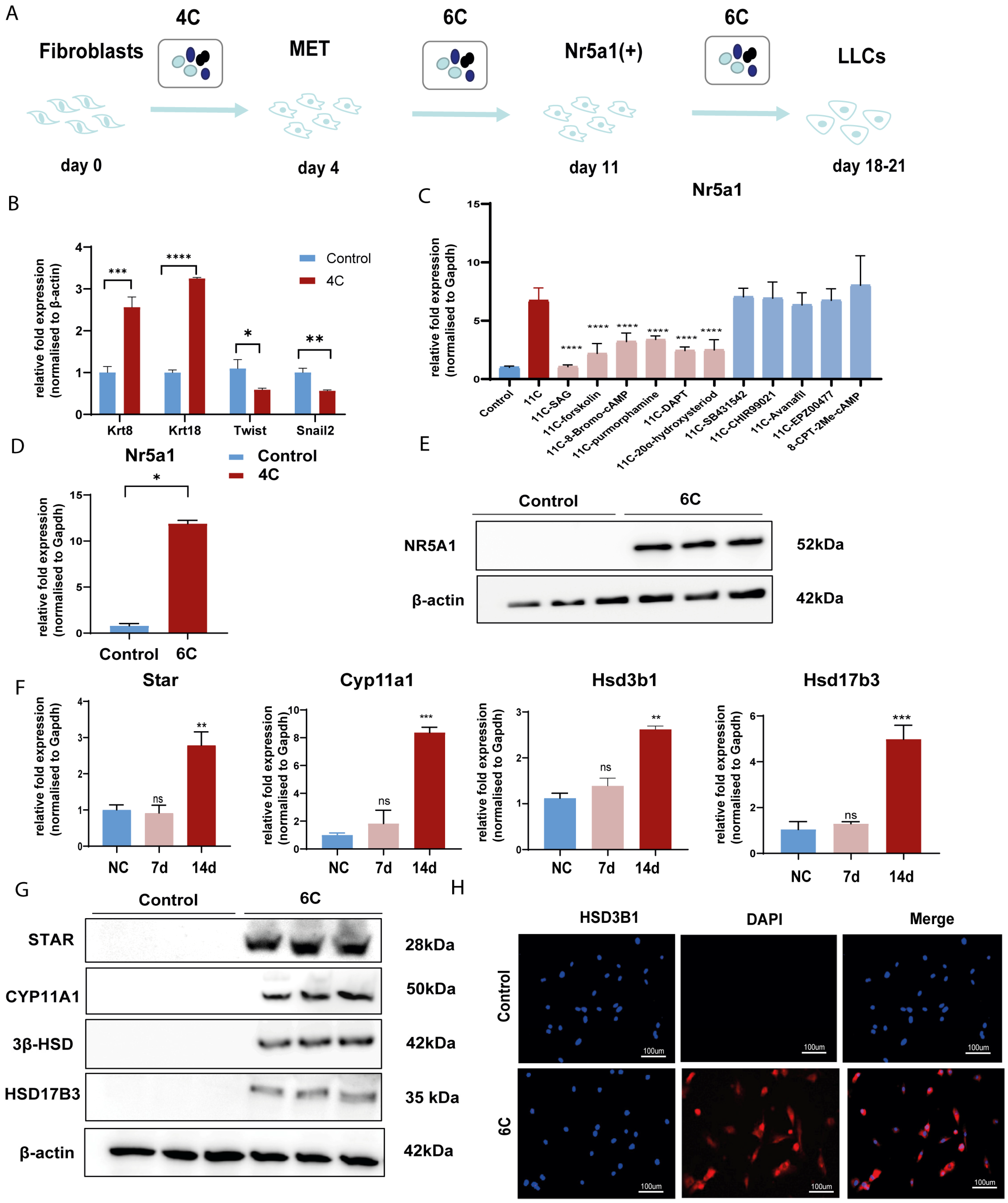 Pharmaceutics 15 02456 g003