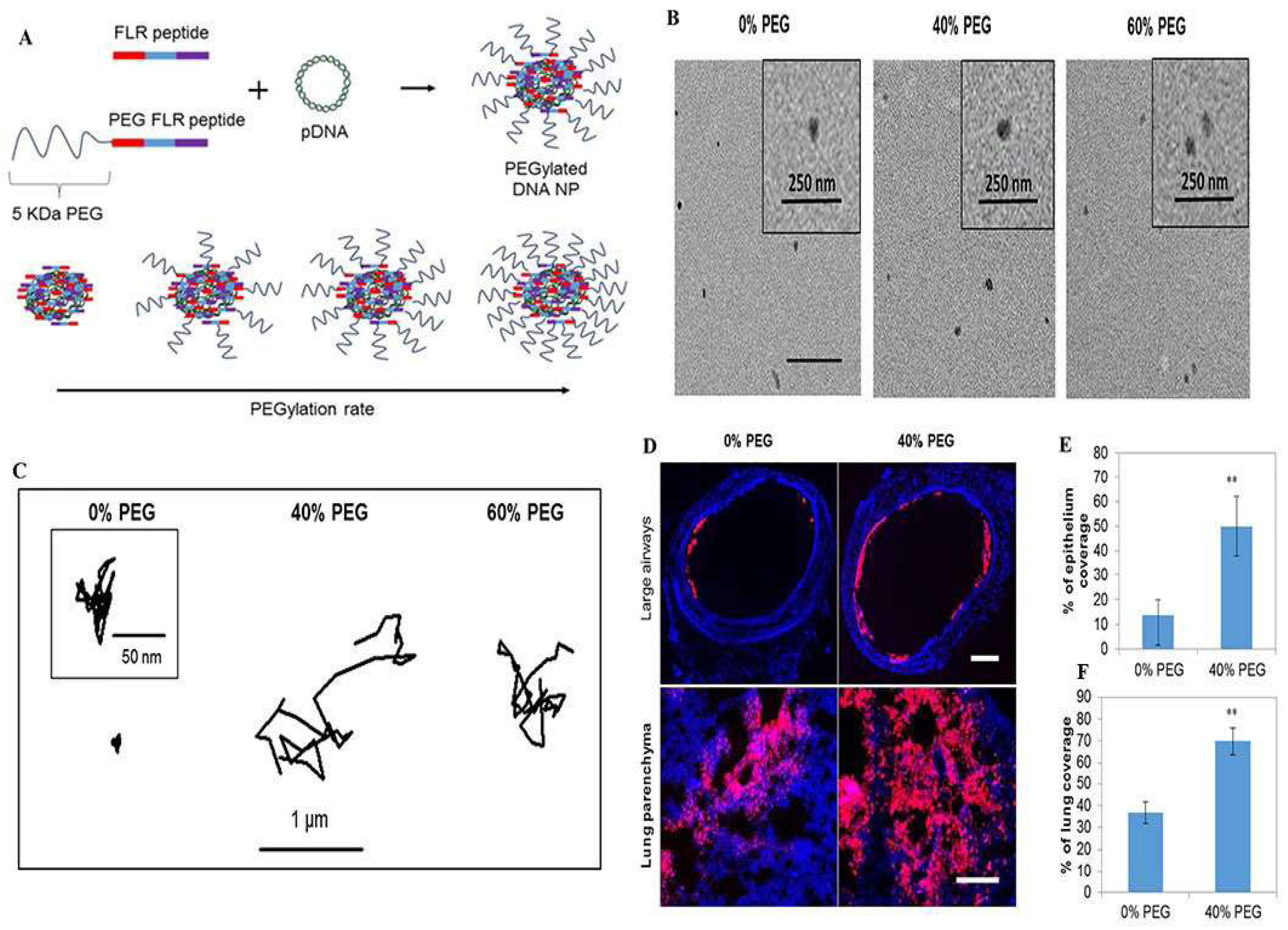 Pharmaceutics 15 02457 g002