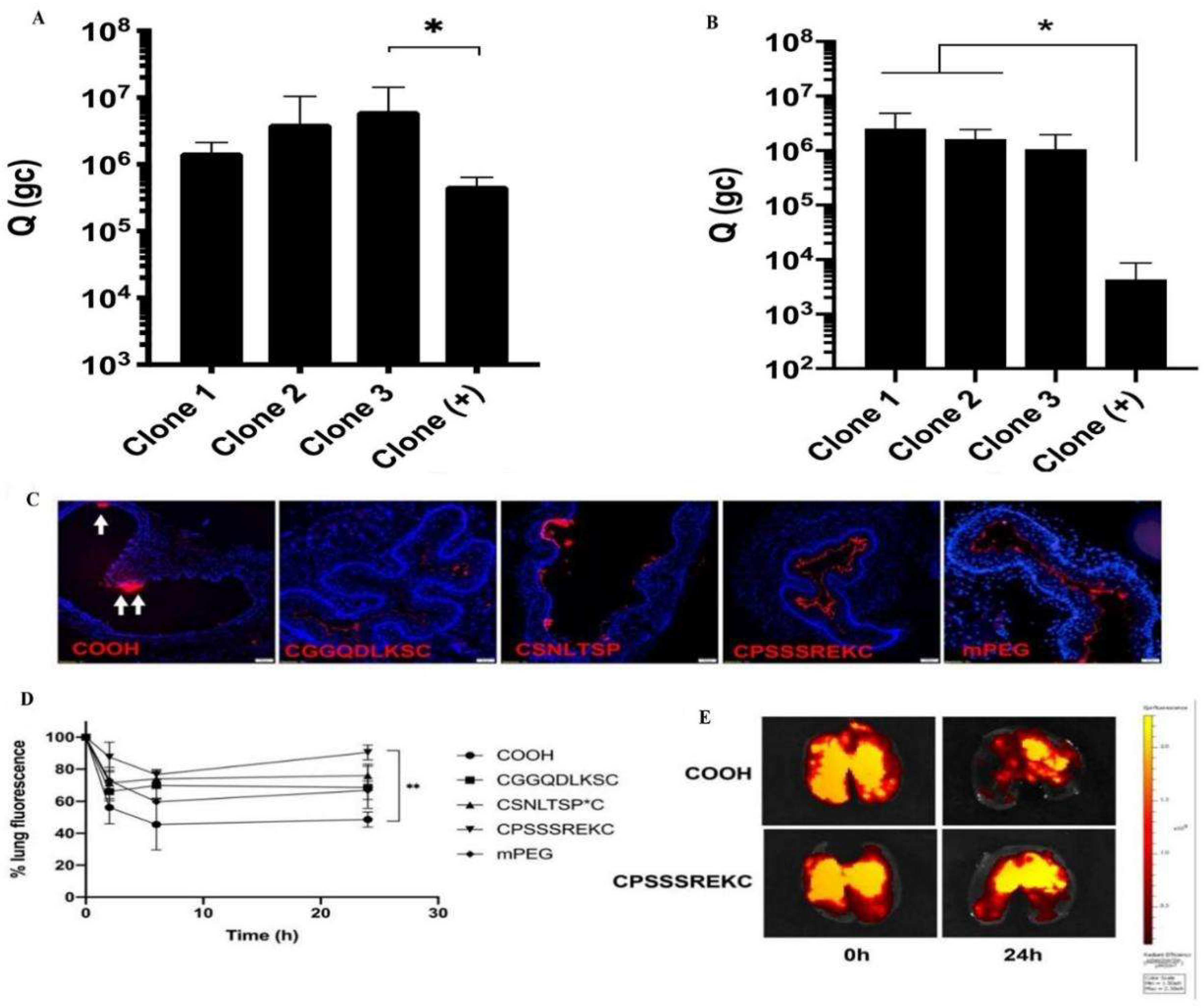 Pharmaceutics 15 02457 g003