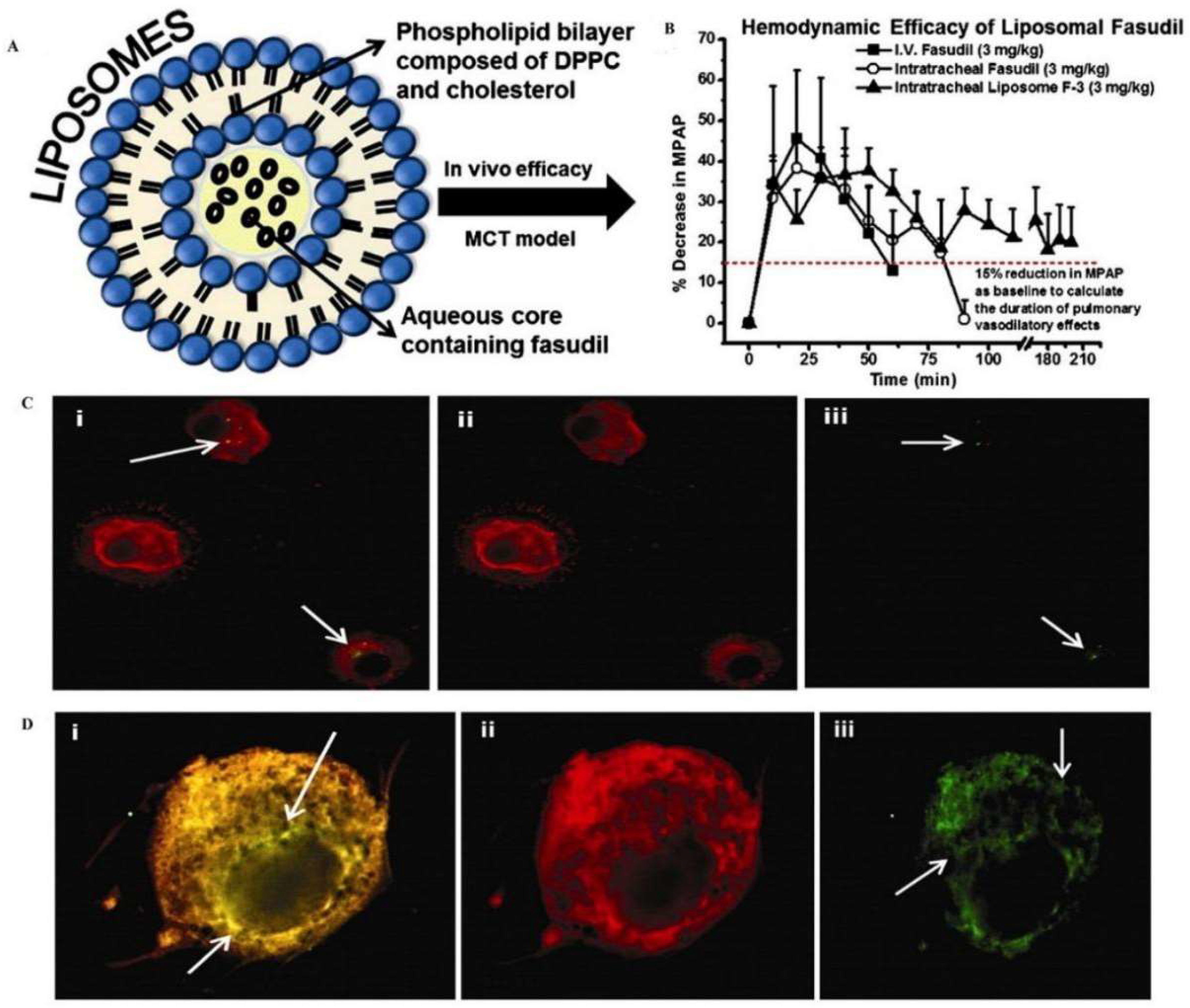 Pharmaceutics 15 02457 g004