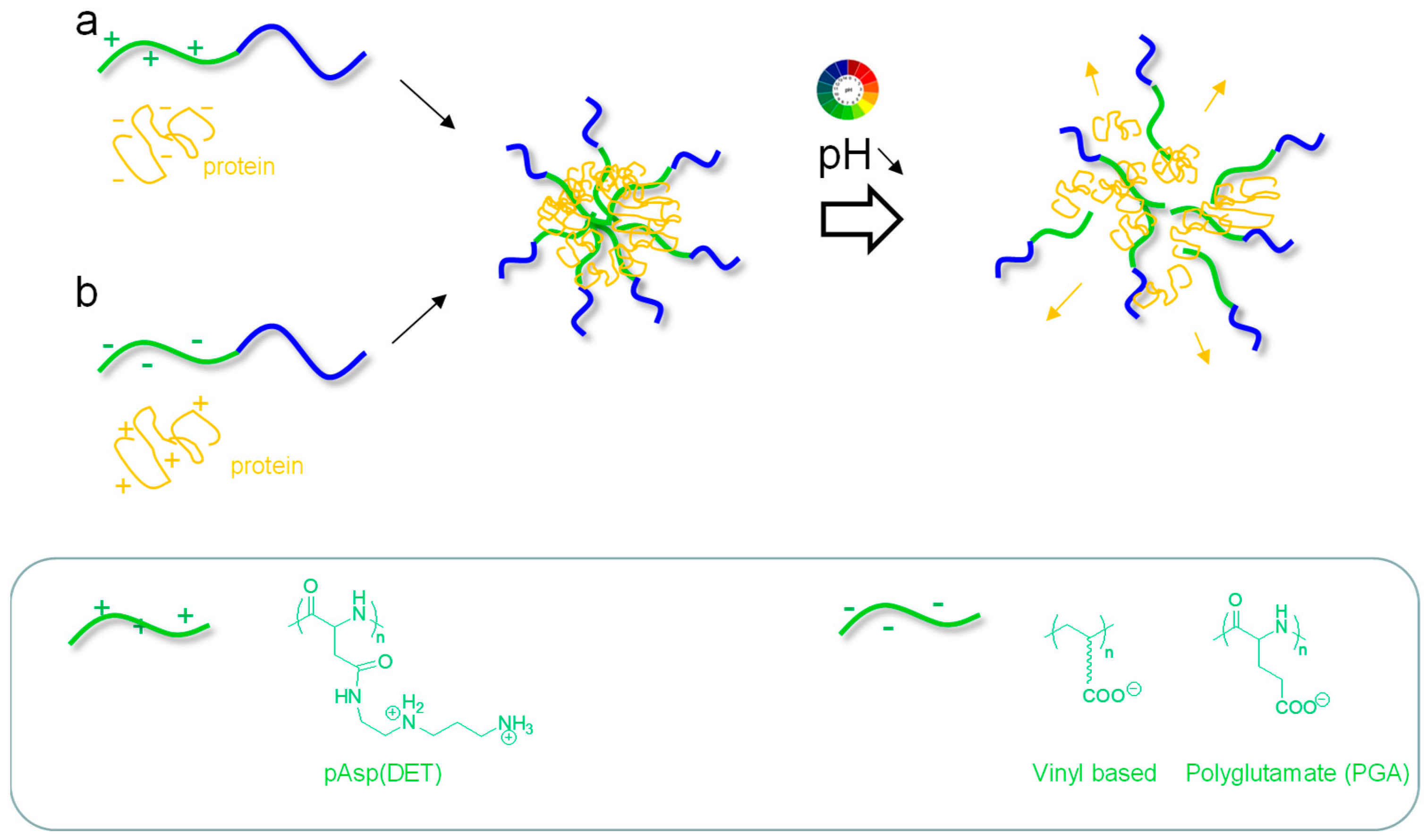 Pharmaceutics 15 02481 g001