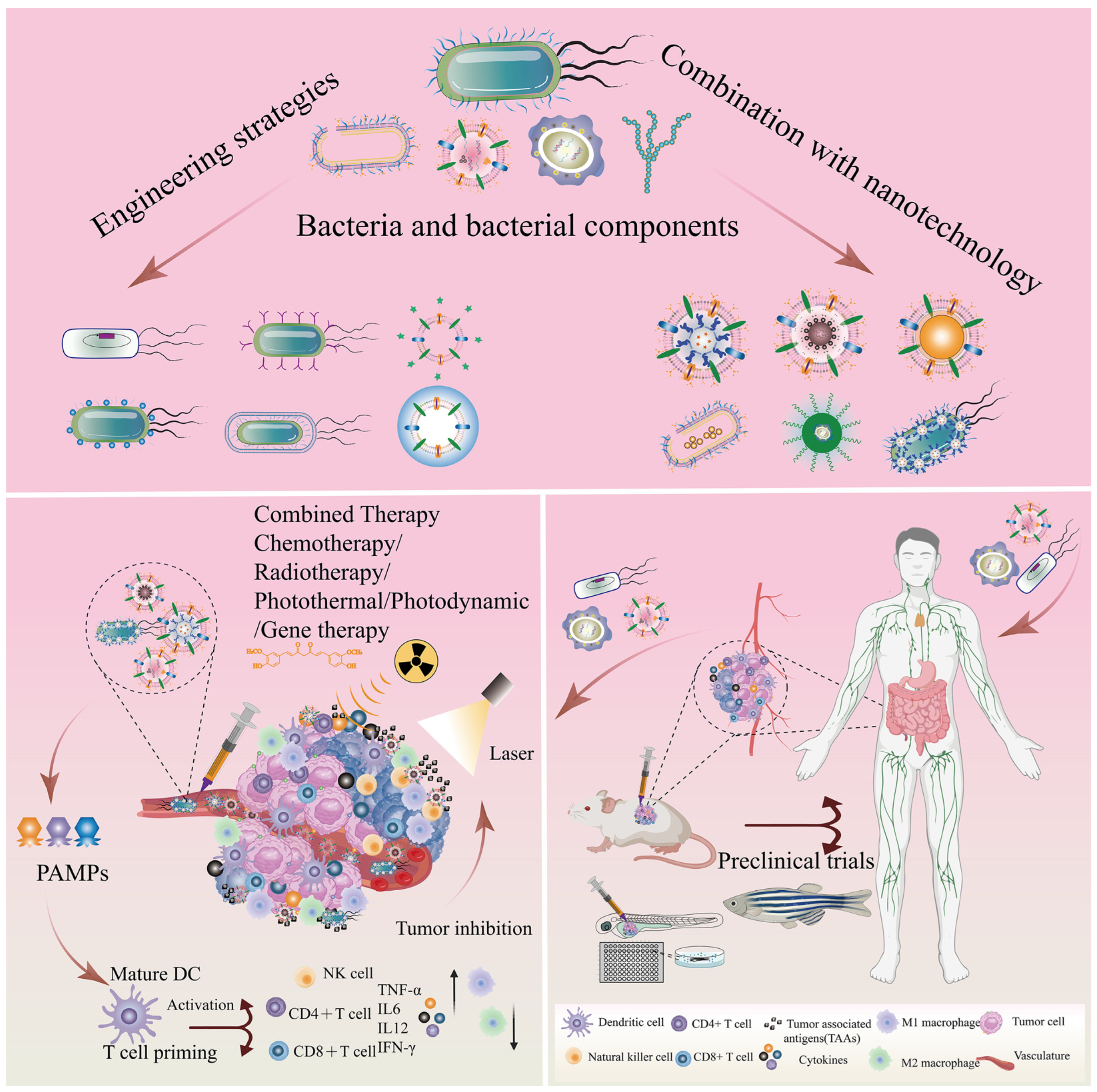 Pharmaceutics 15 02490 g009