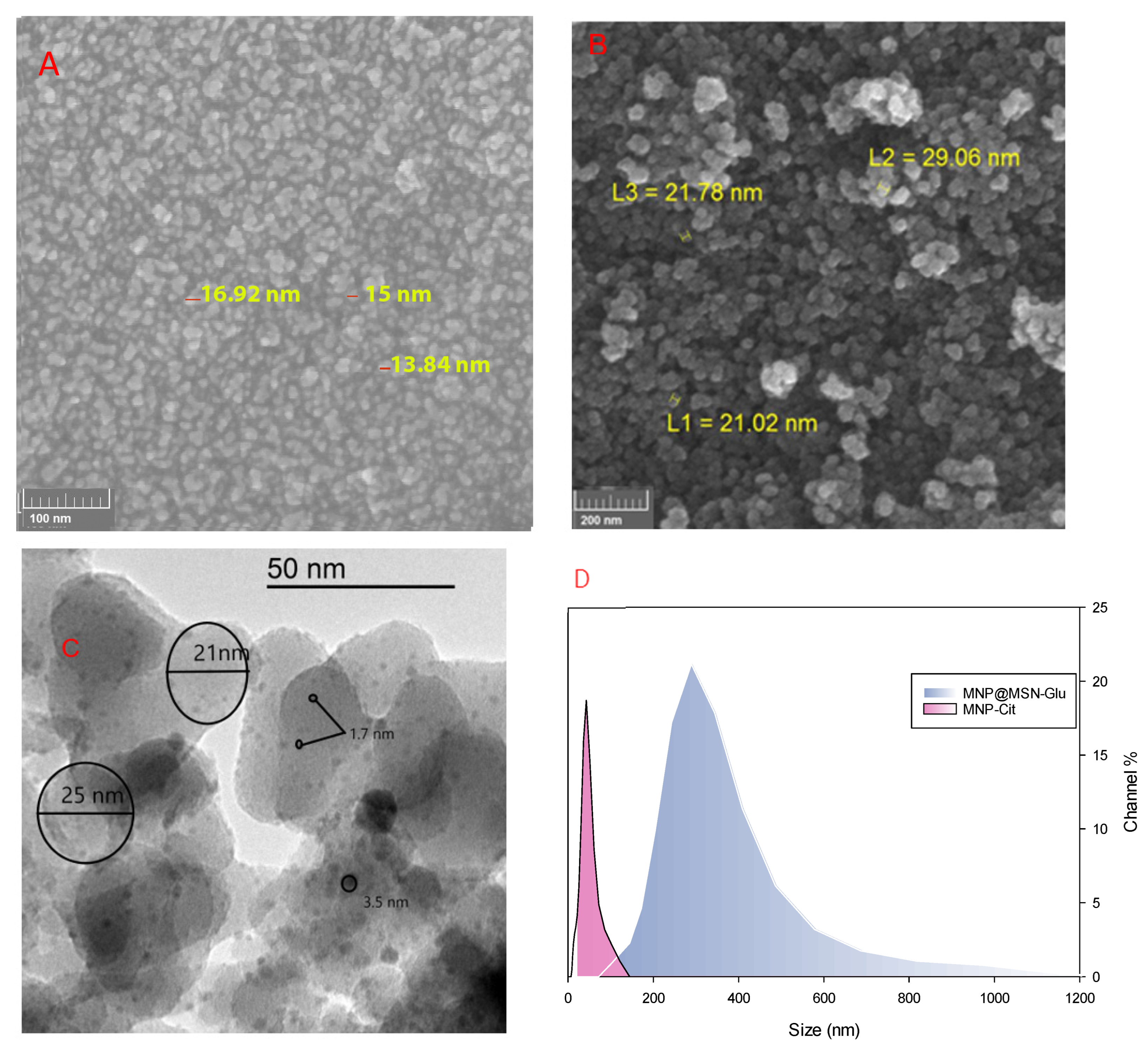 Pharmaceutics 15 02491 g005