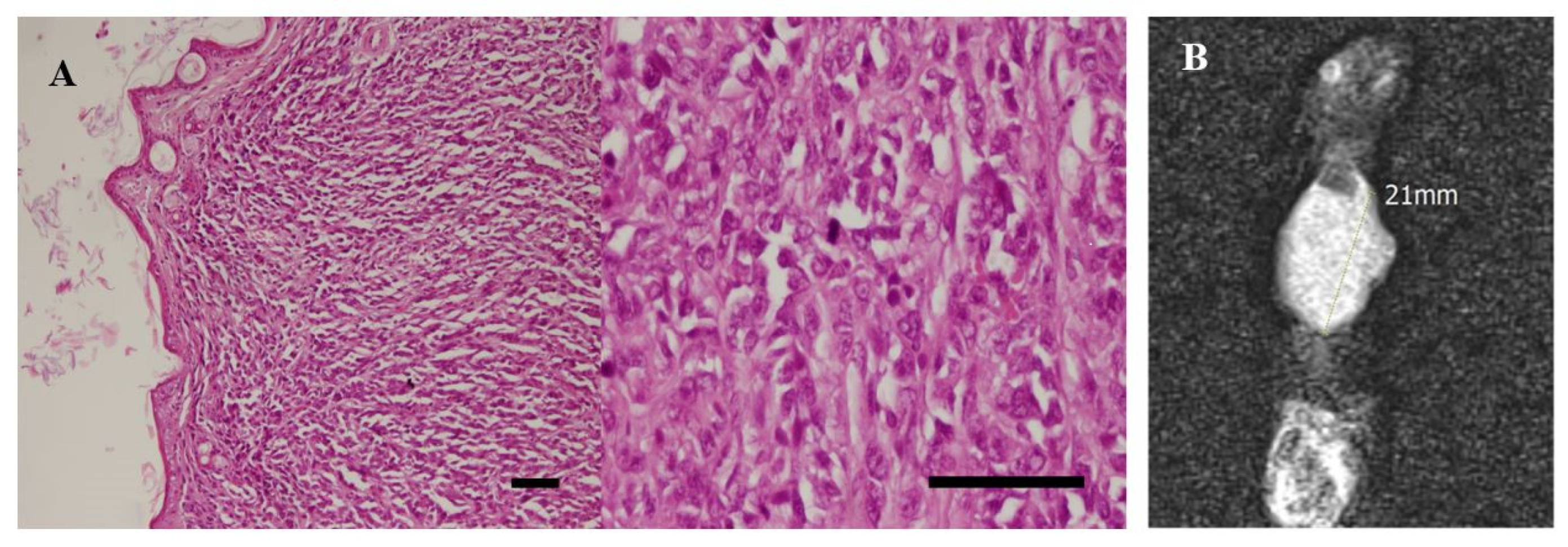 Pharmaceutics 15 02491 g010