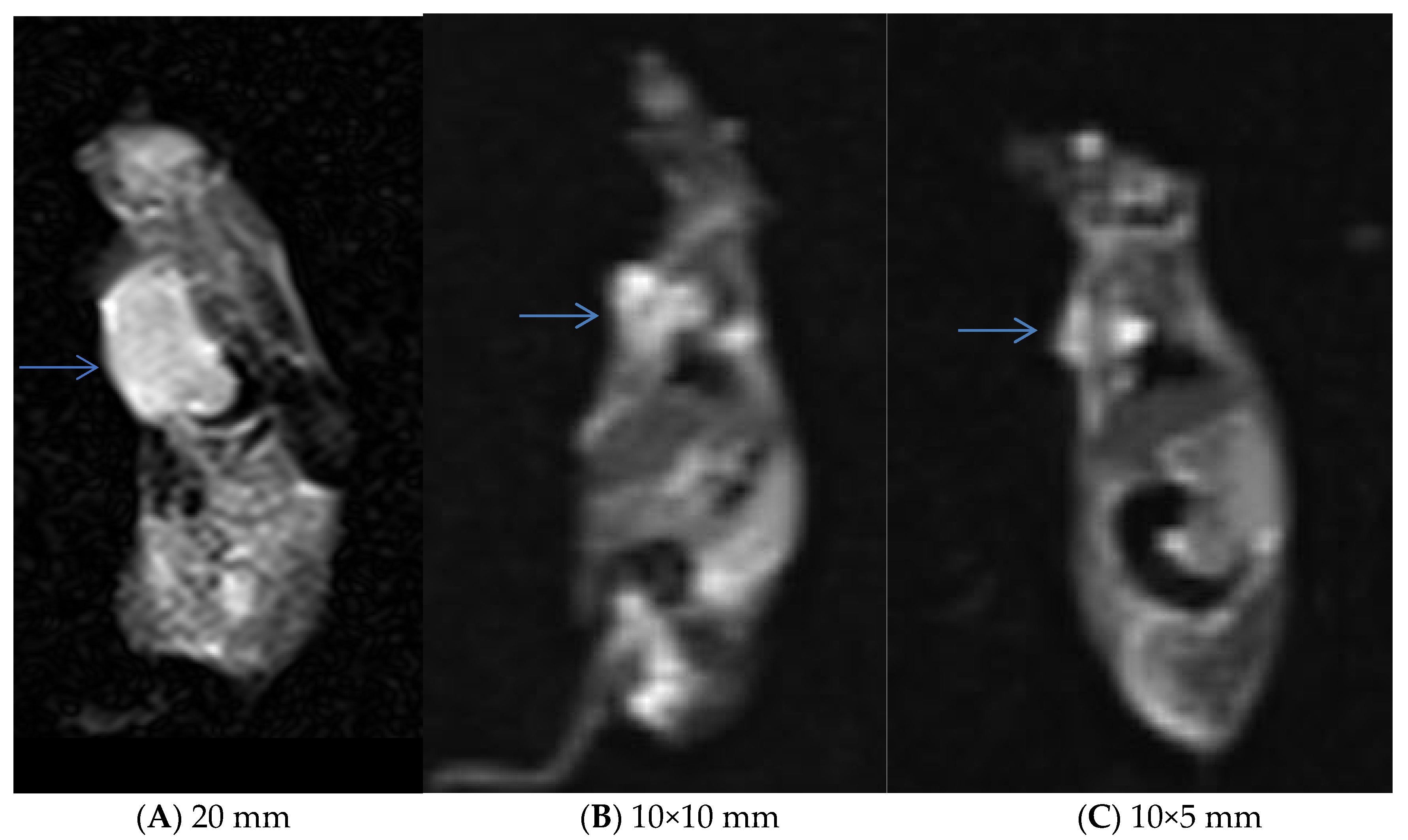 Pharmaceutics 15 02491 g011