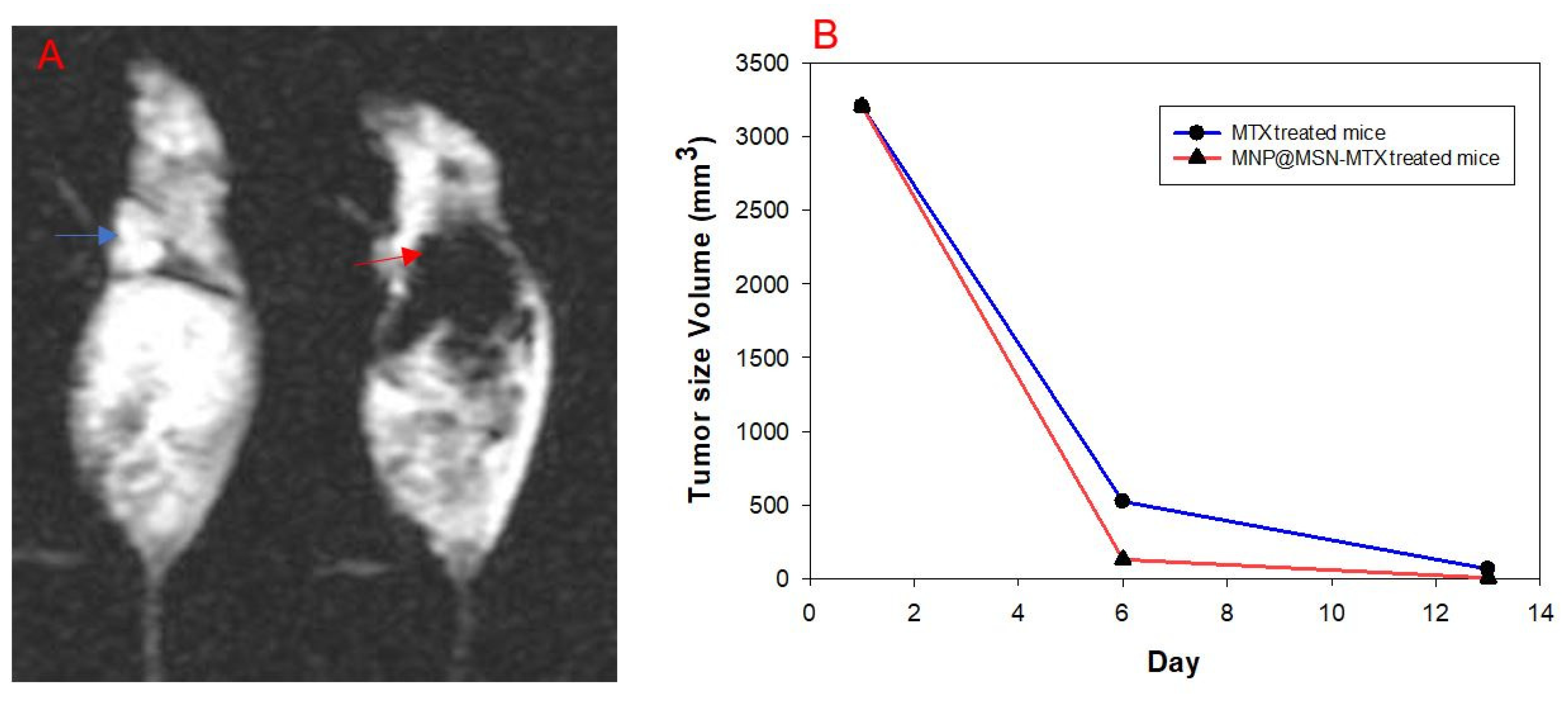 Pharmaceutics 15 02491 g012