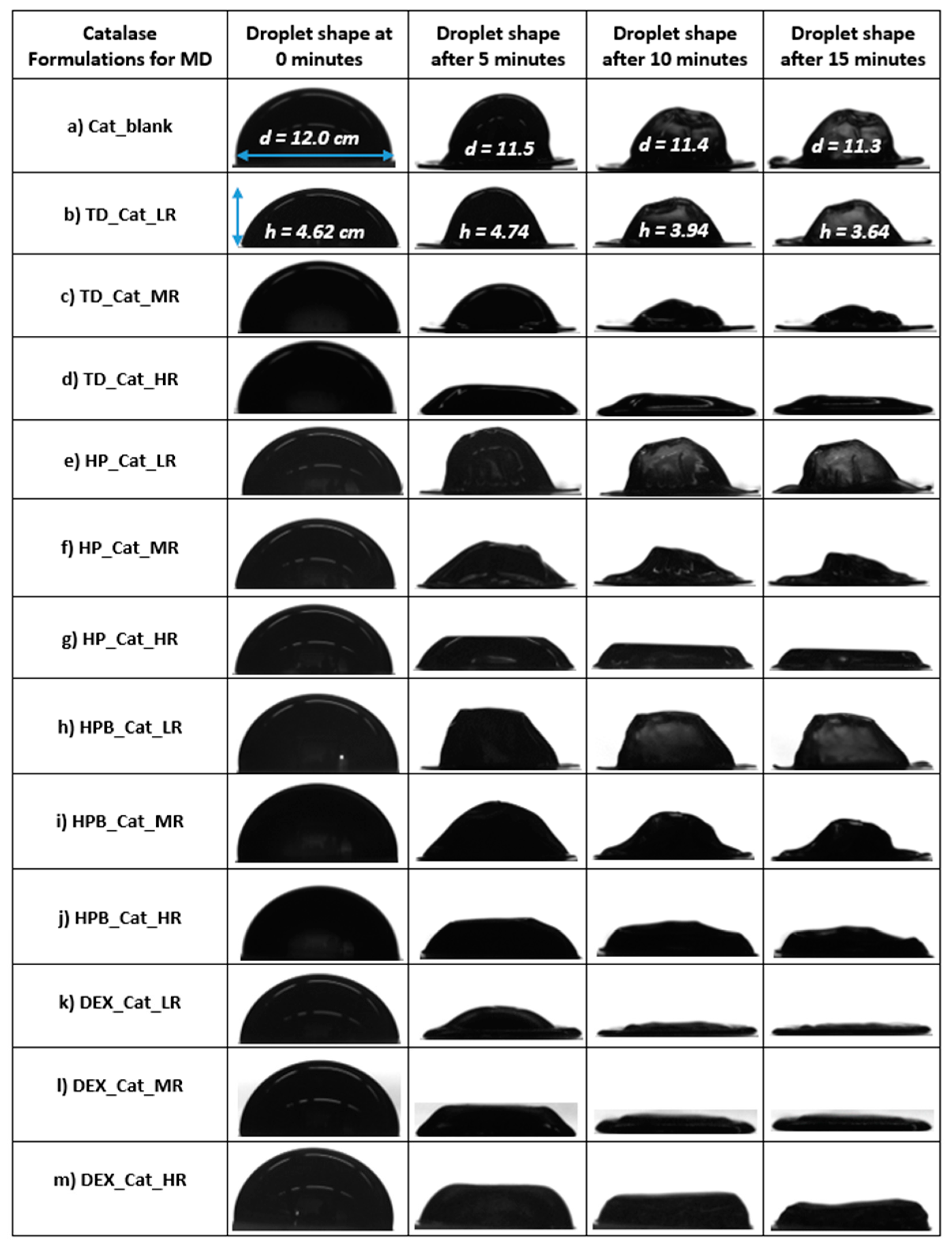 Pharmaceutics 15 02504 g001