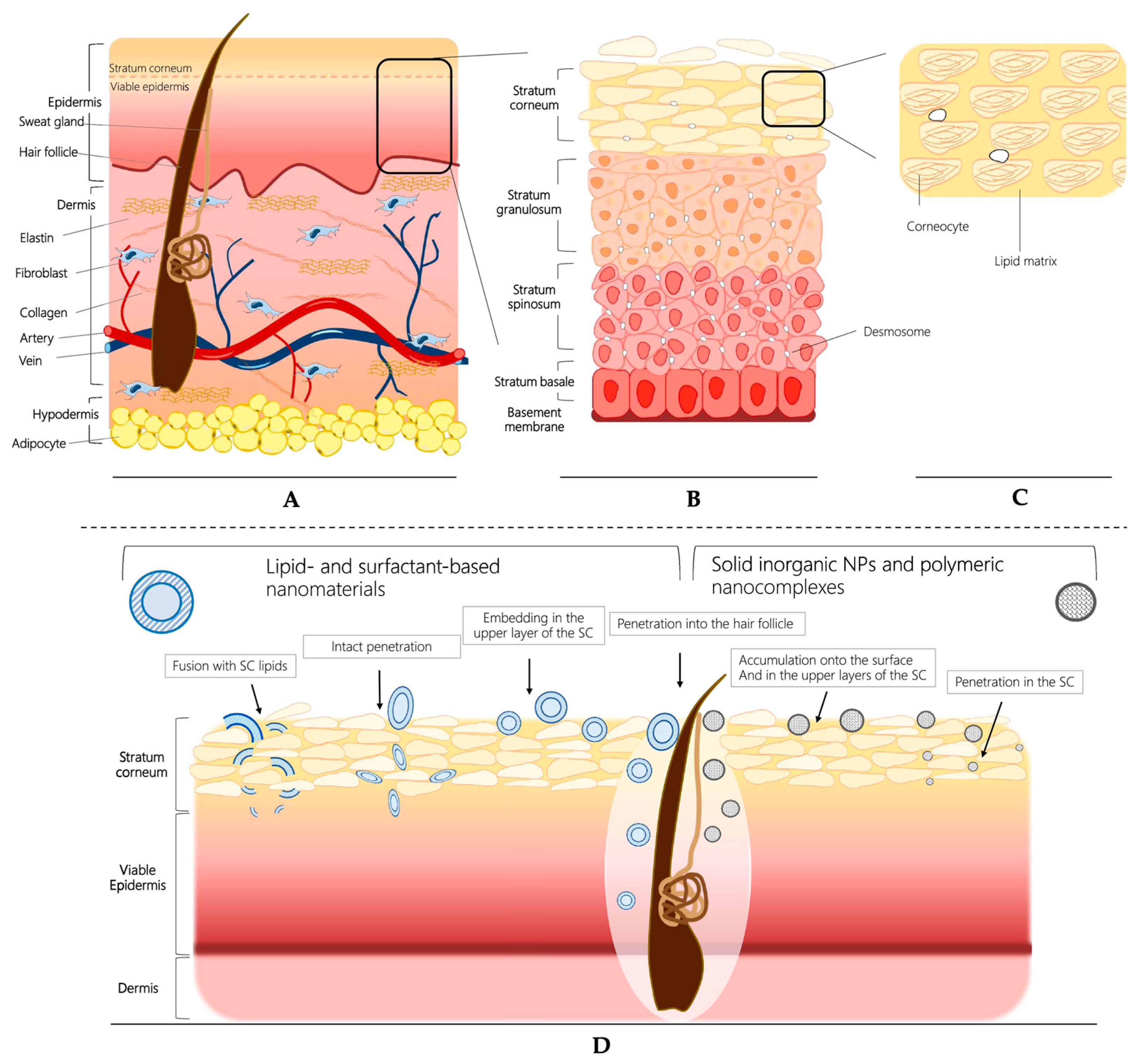 Pharmaceutics 15 02508 g002