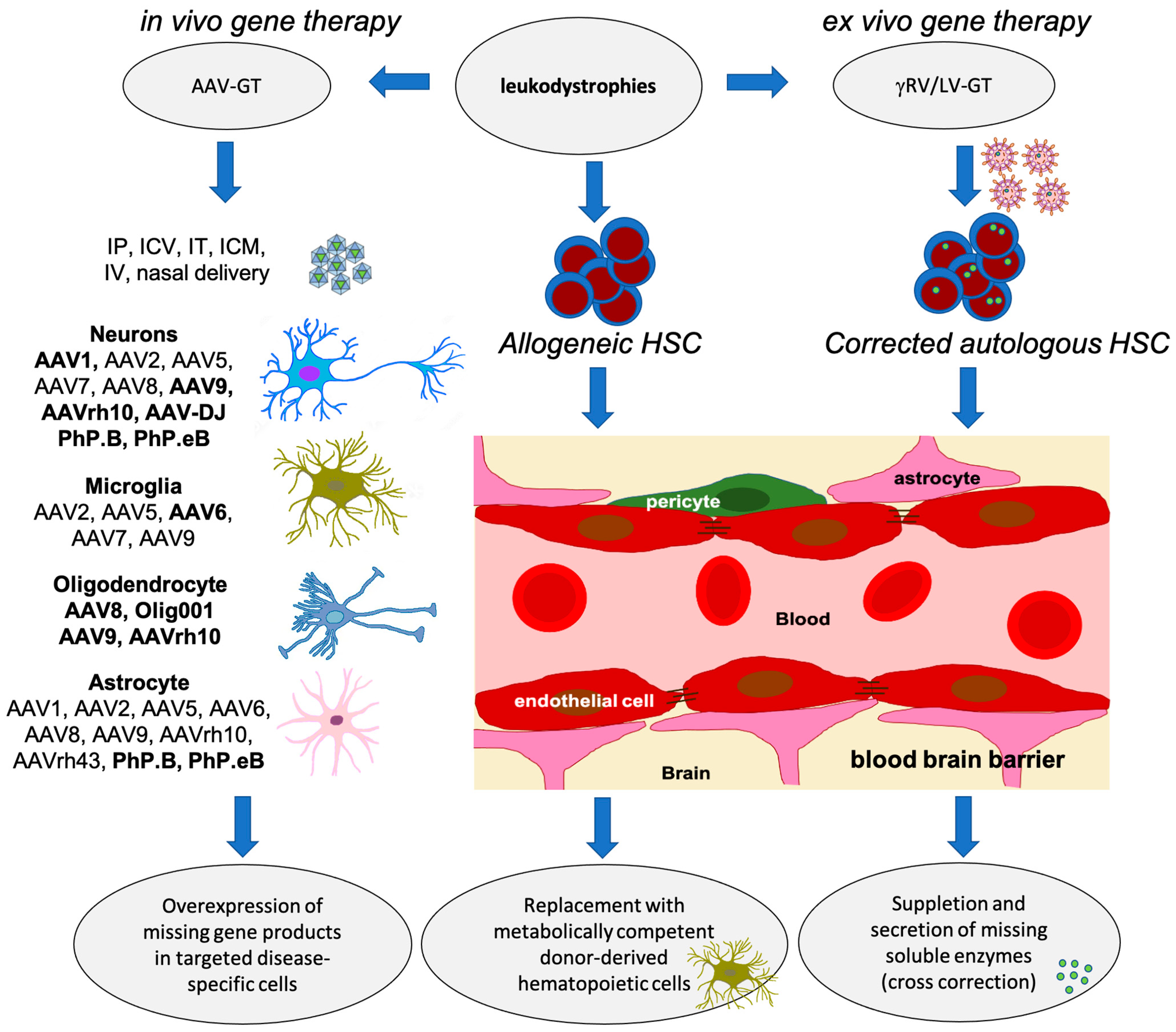 Pharmaceutics 15 02522 g002