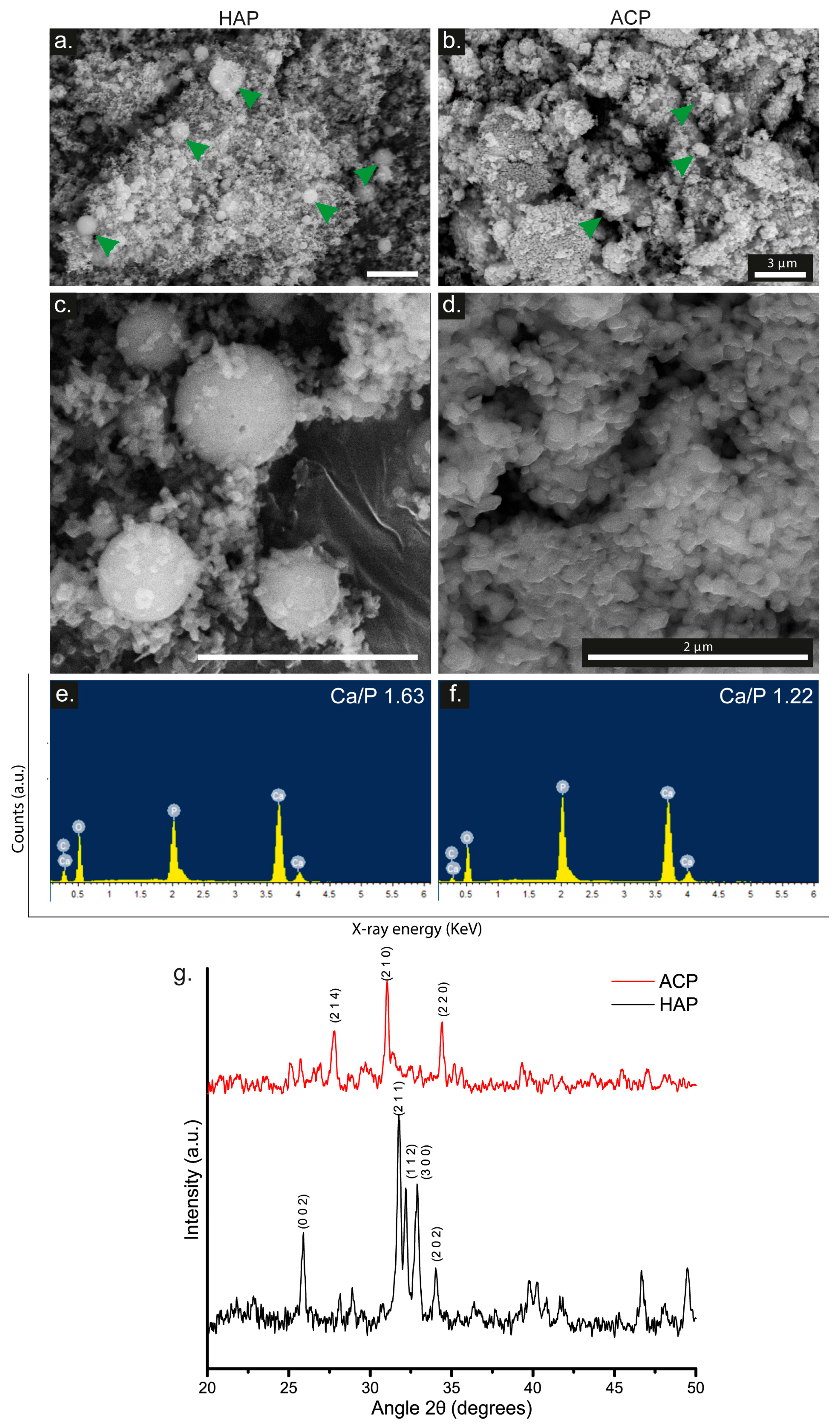 Pharmaceutics 15 02529 g001