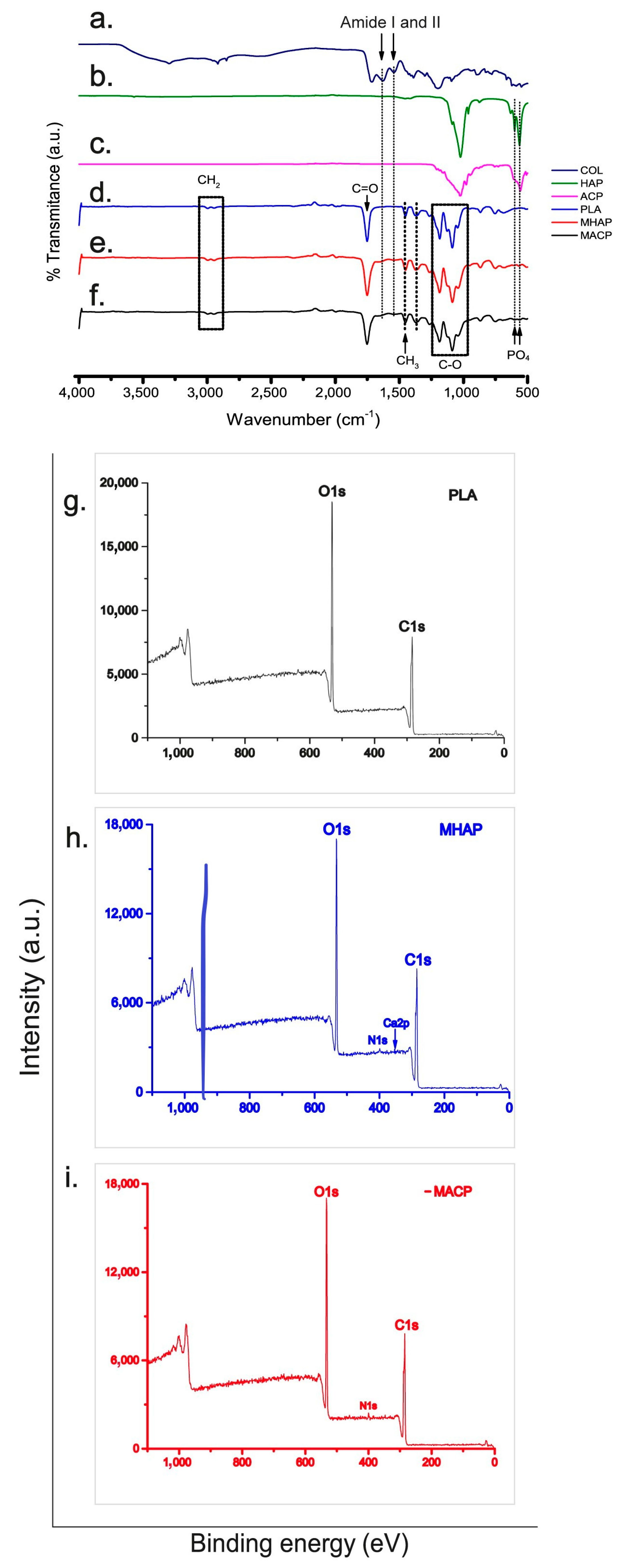 Pharmaceutics 15 02529 g002