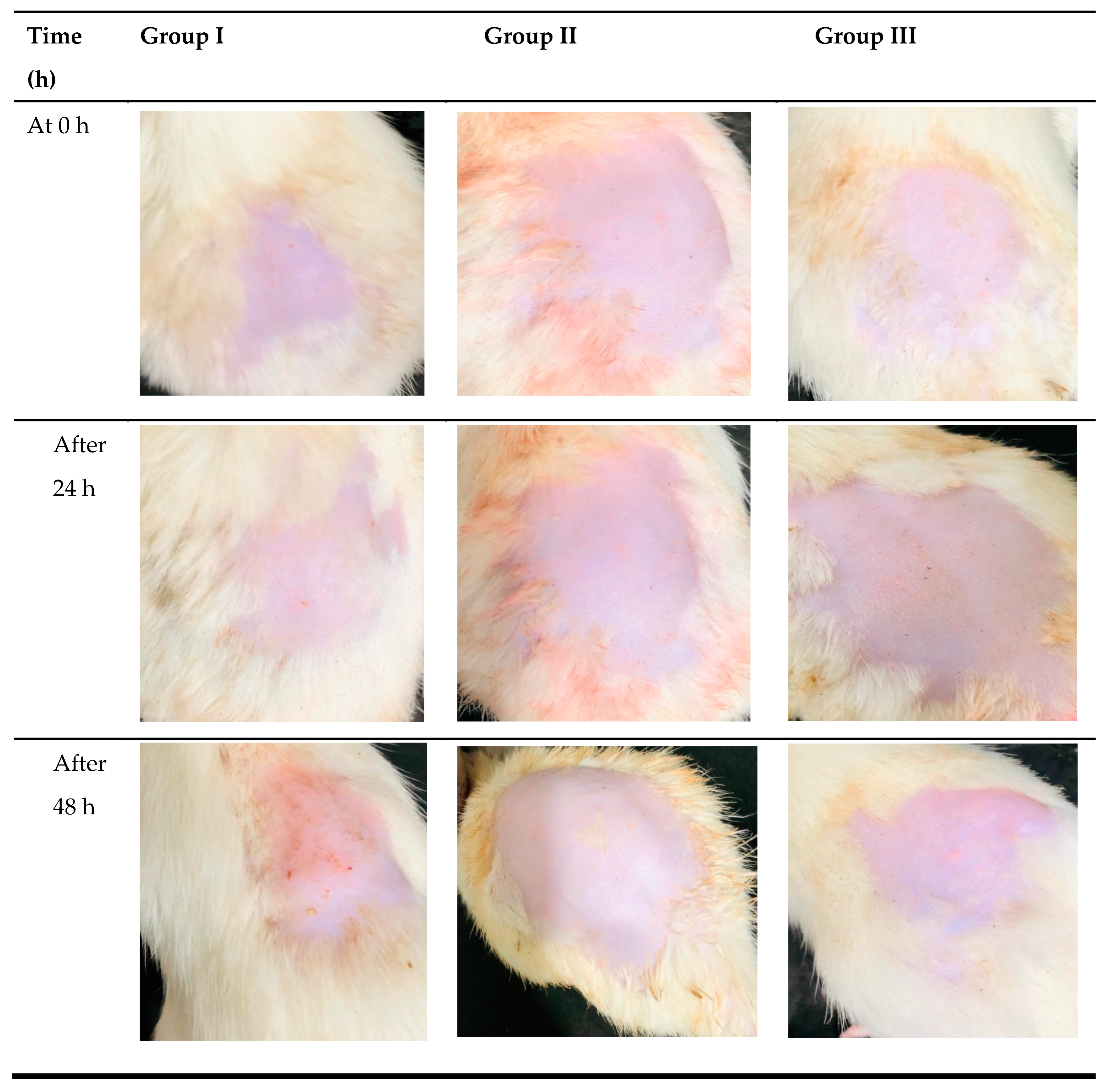 Pharmaceutics 15 02537 g011