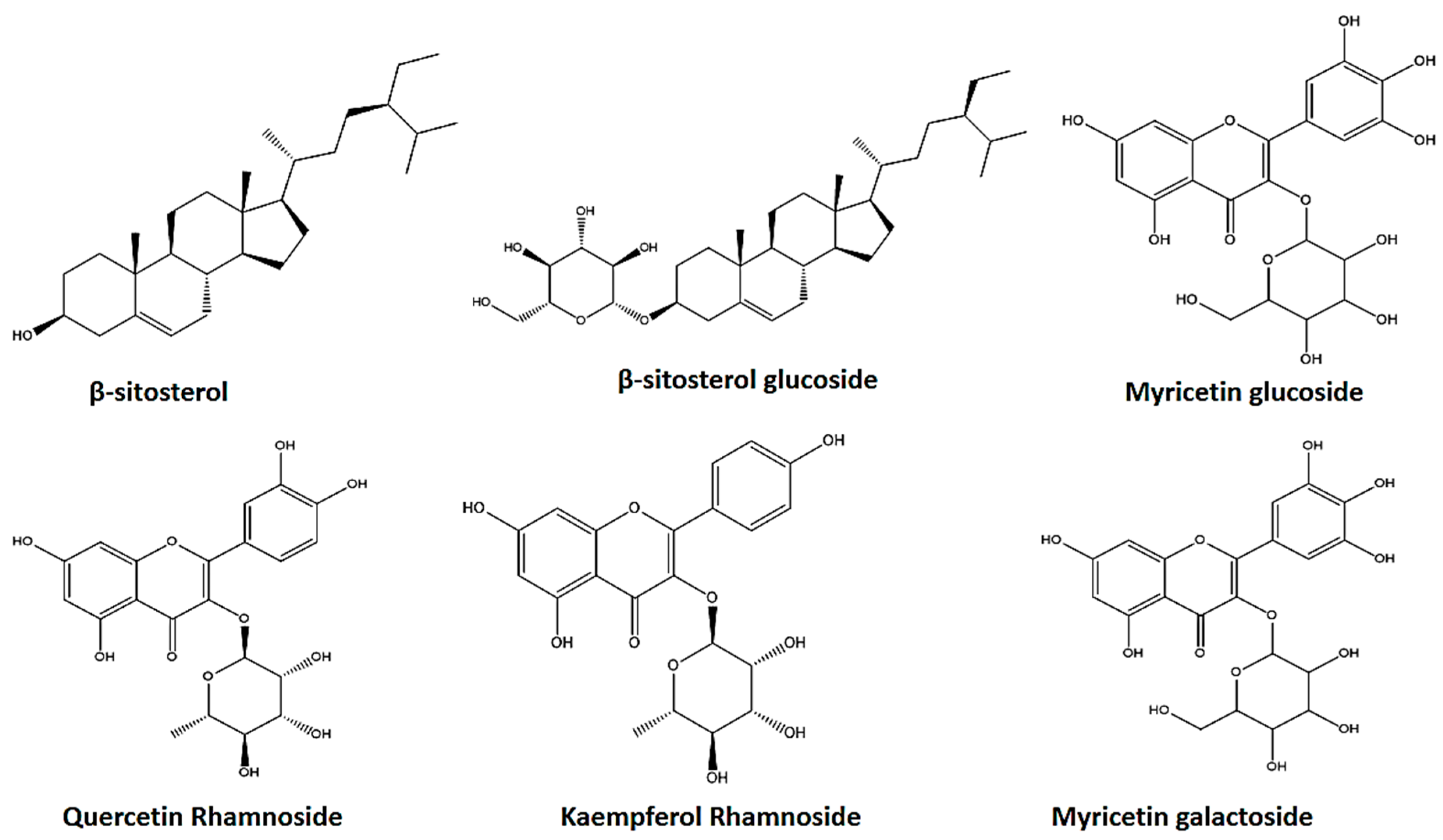 Pharmaceutics 15 02541 g002