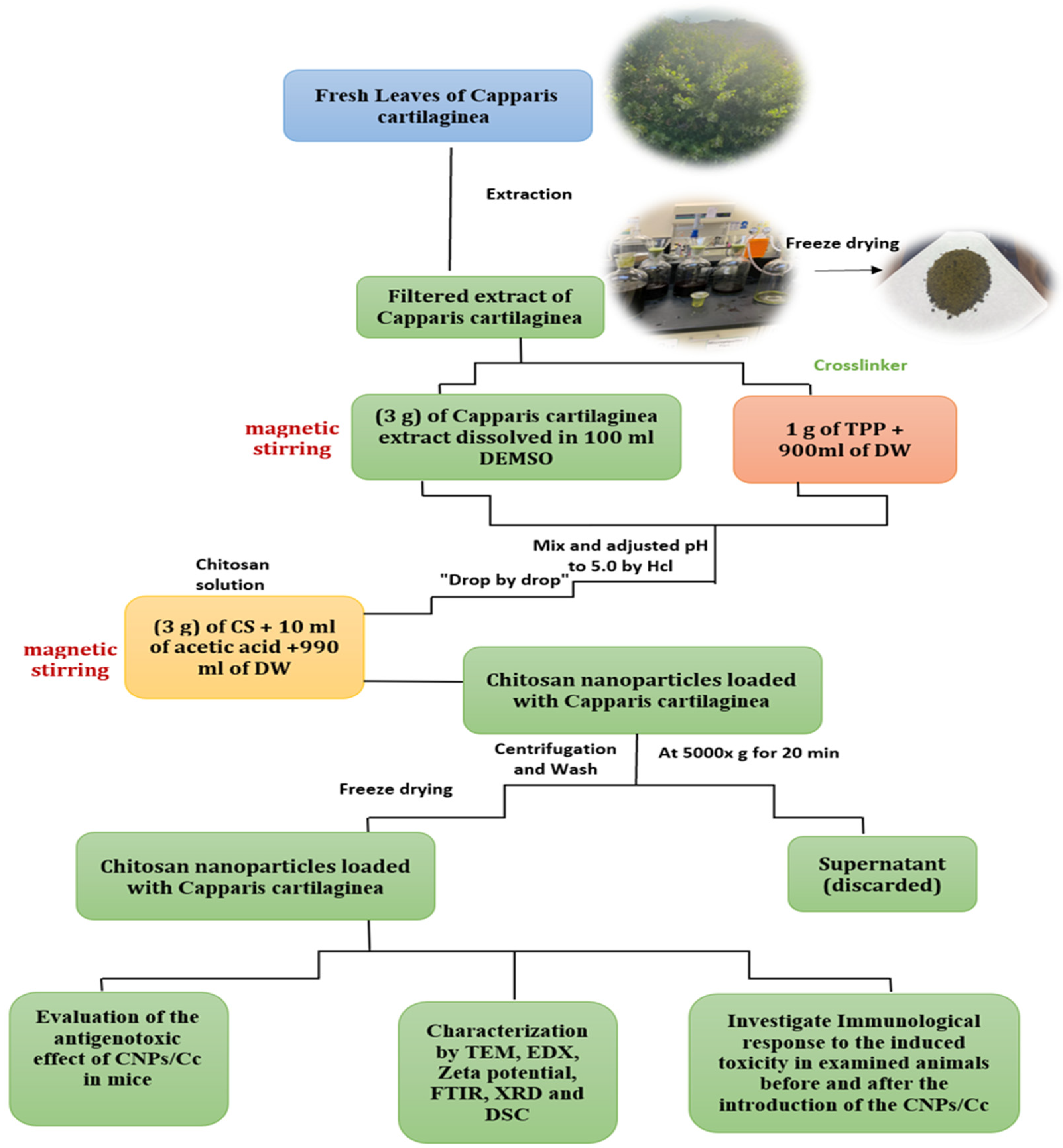 Pharmaceutics 15 02551 g002 Pharmaceutics 15 02551 g002