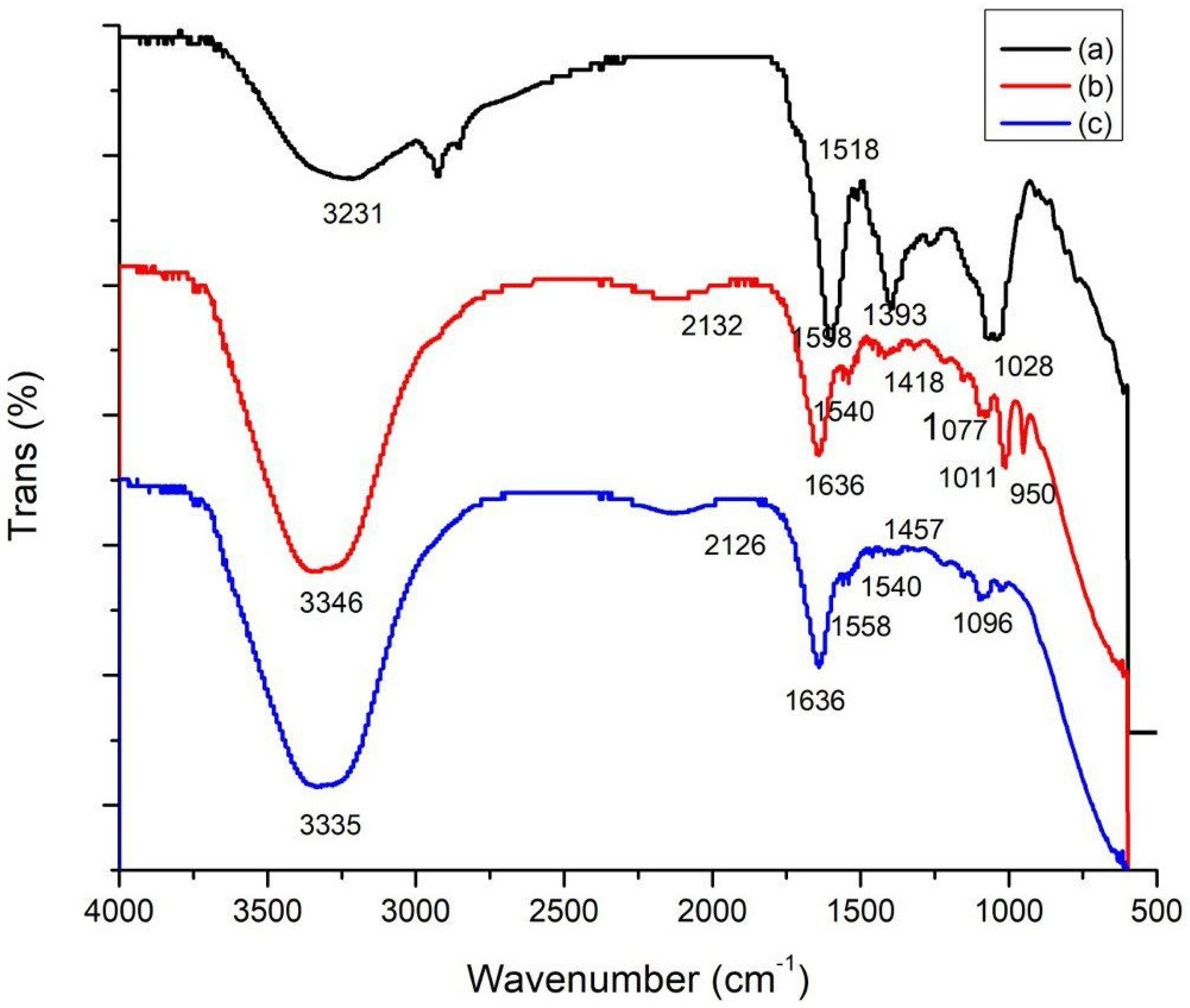 Pharmaceutics 15 02551 g003 Pharmaceutics 15 02551 g003